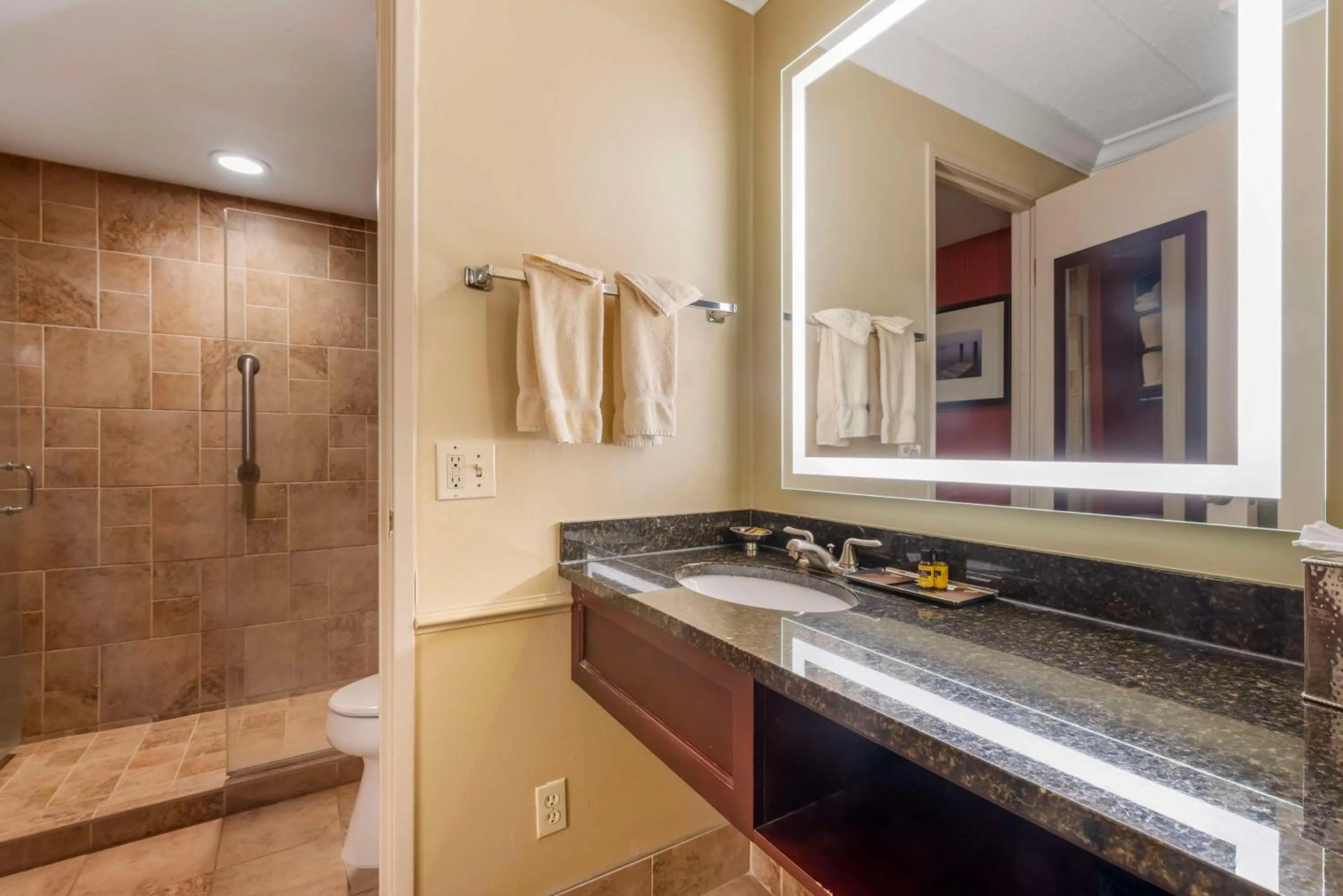 Bathroom in Best Western Plus White Bear Country Inn