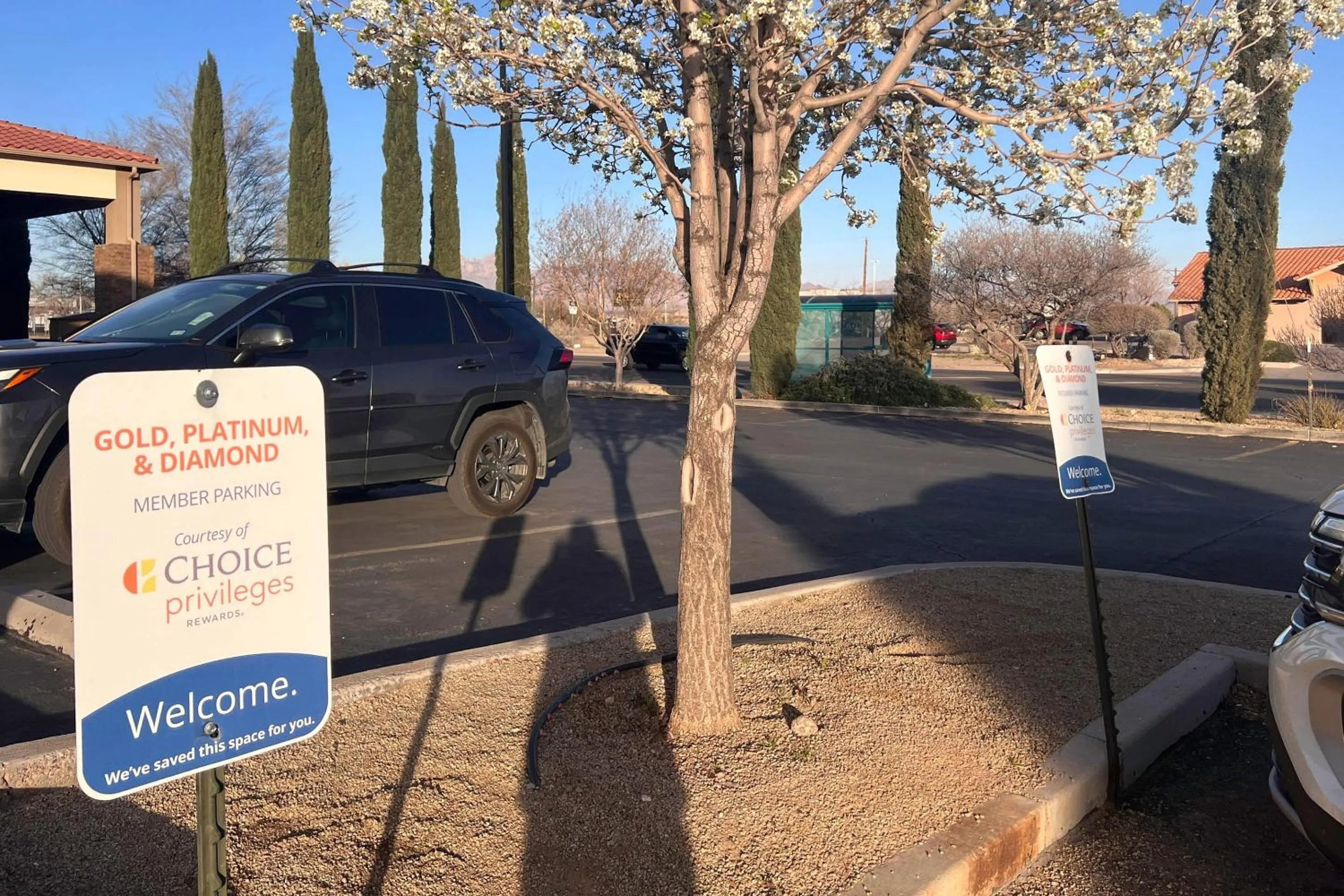 Property building in Comfort Inn & Suites Las Cruces Mesilla