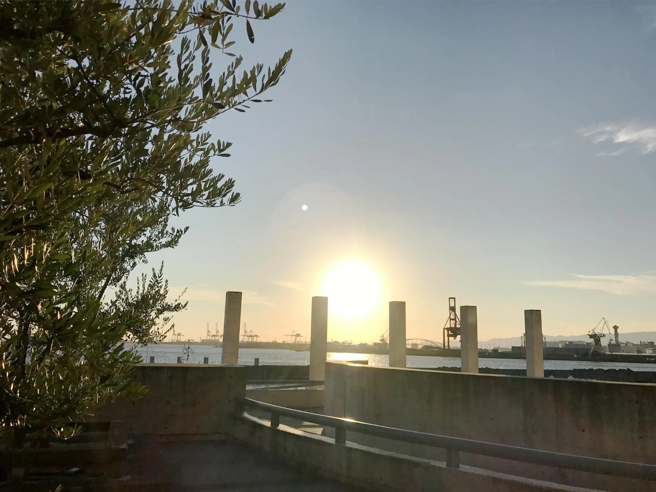 Natural landscape in Hotel Seagull Tenpozan Osaka