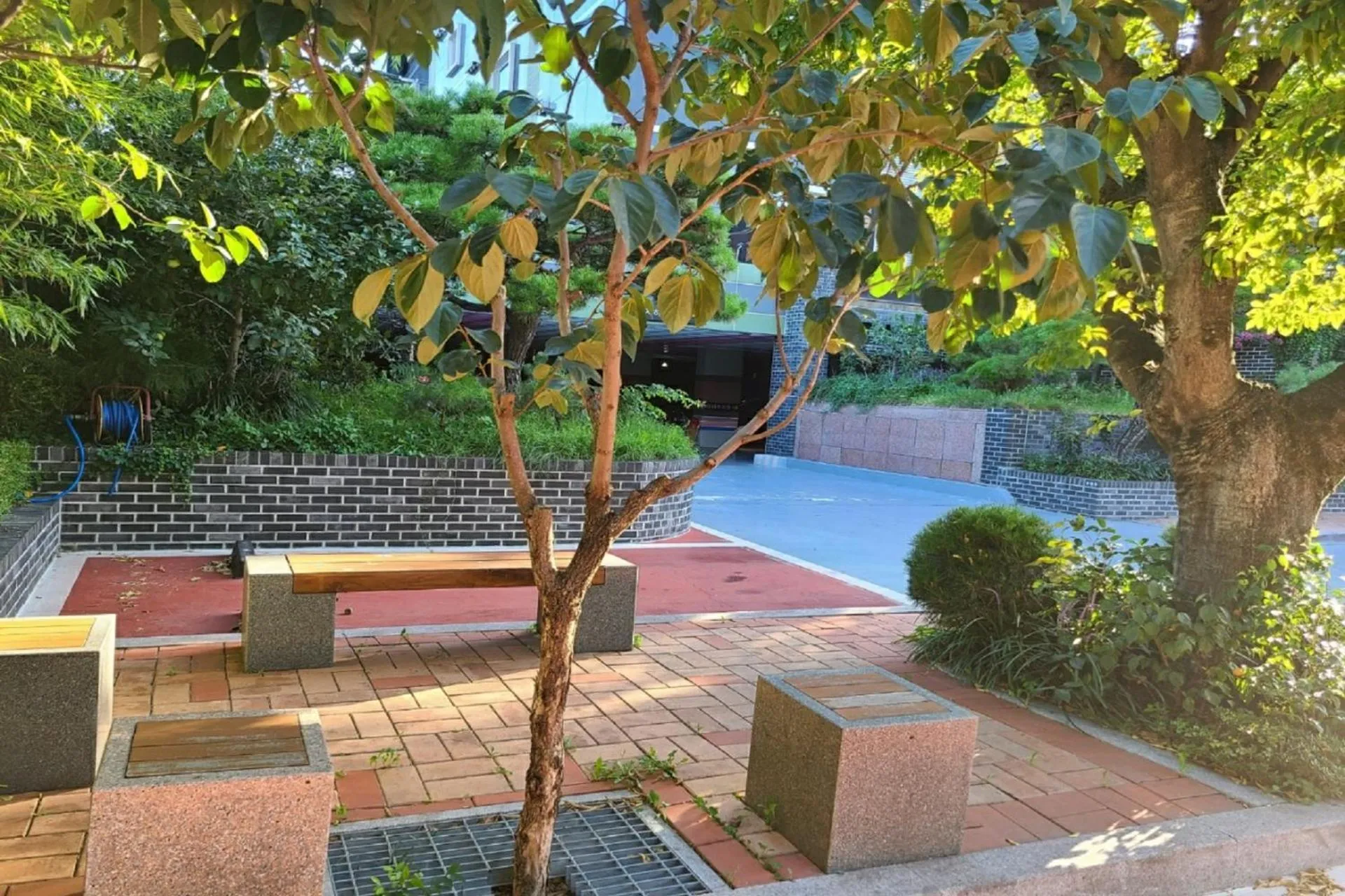 Garden in Renaissance Hotel Pohang