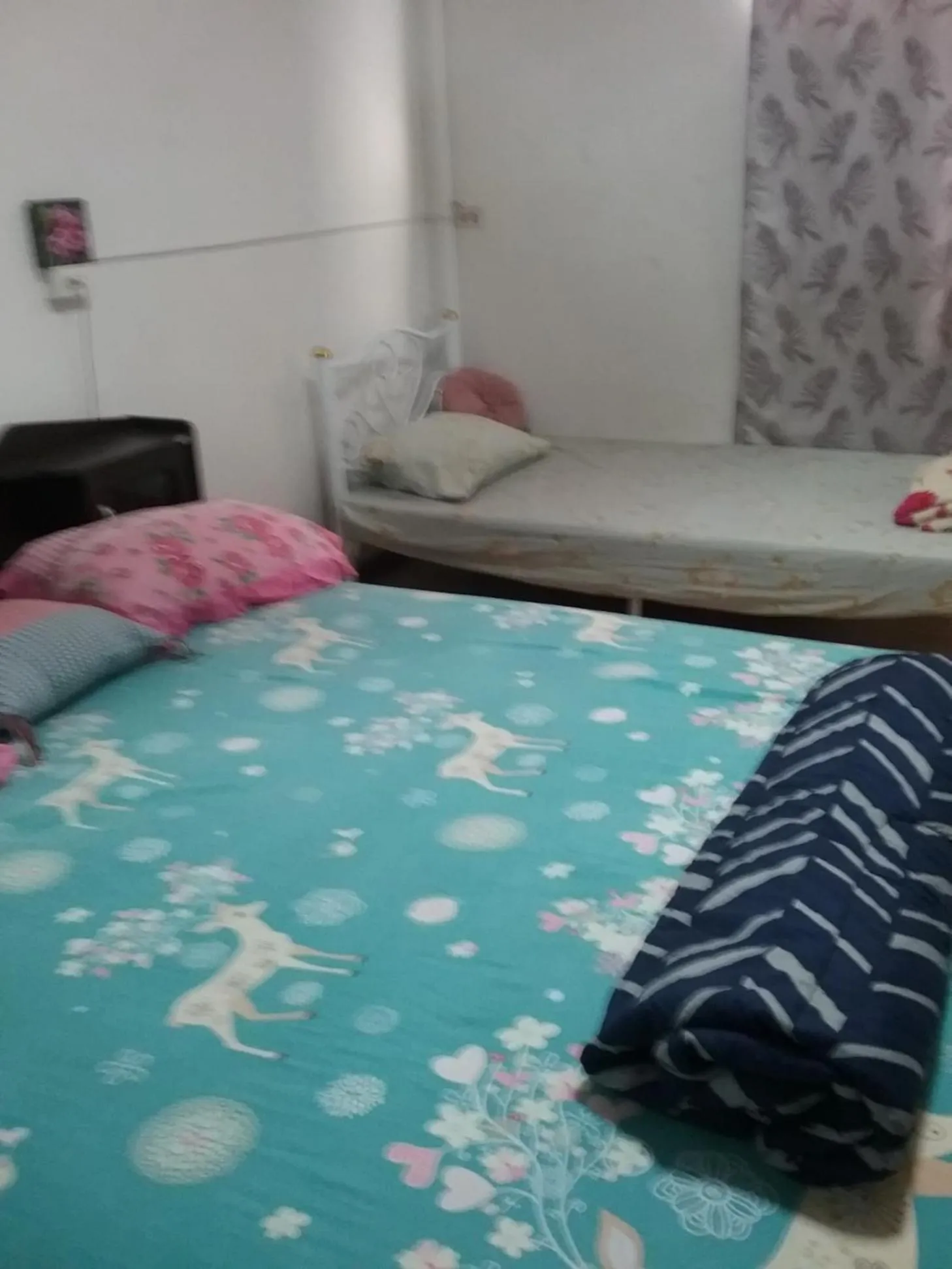 Bed in Danee Hostel