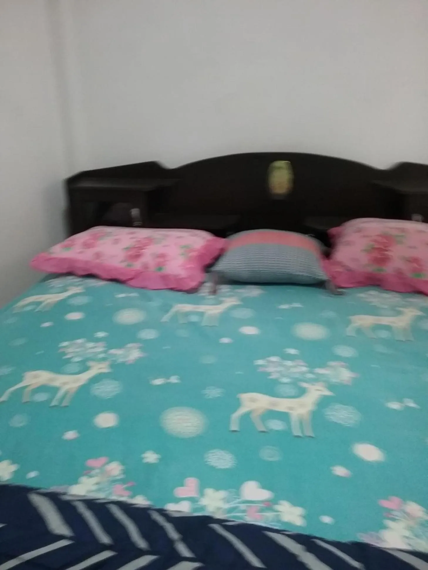 Bed in Danee Hostel