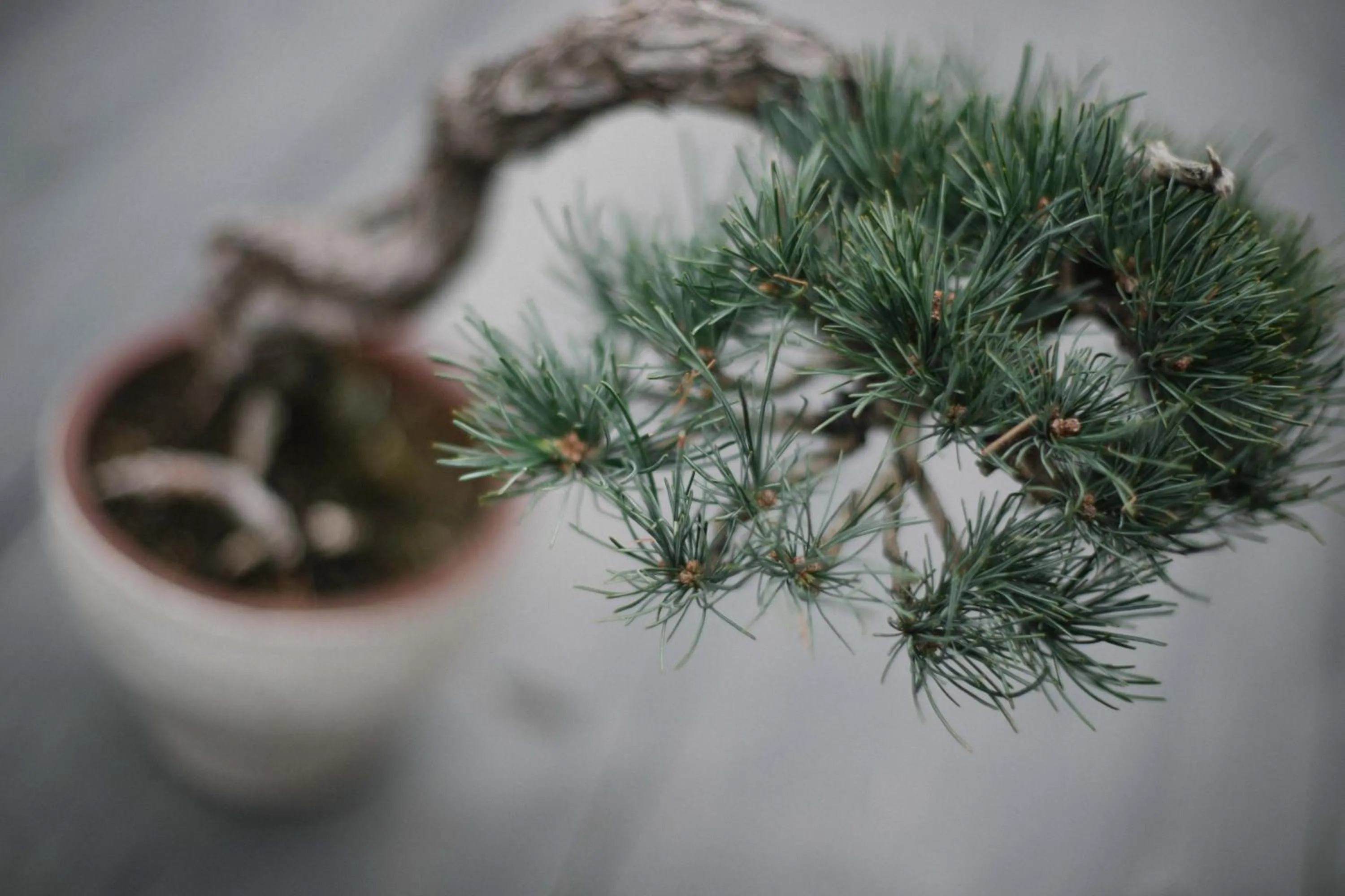 Balcony/Terrace in Sunny Day Hostel