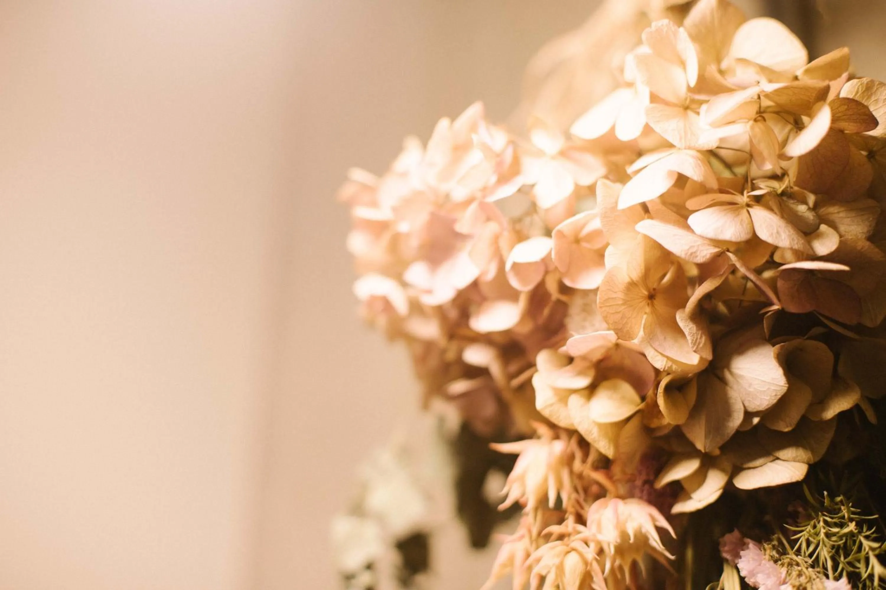 Decorative detail in Sunny Day Hostel