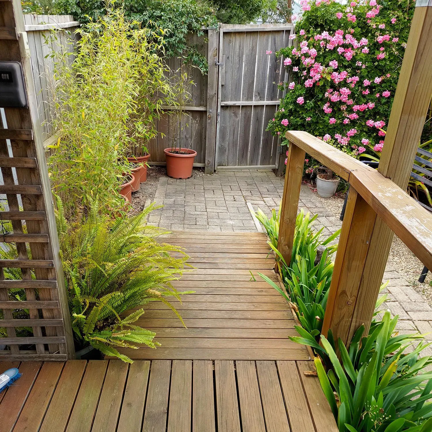 Property building in Gumnut Getaway BnB