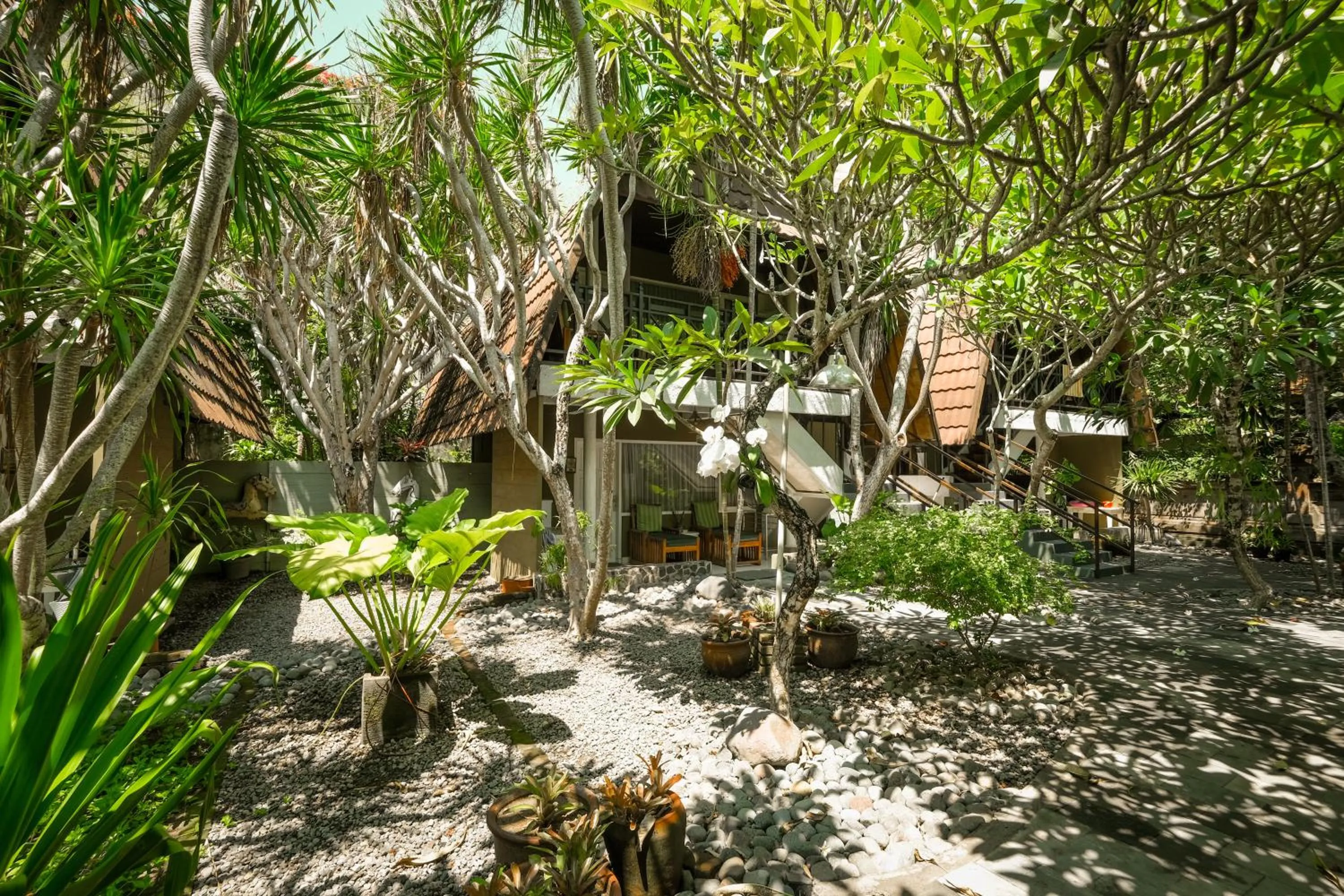 Garden in Peneeda View Beach Hotel