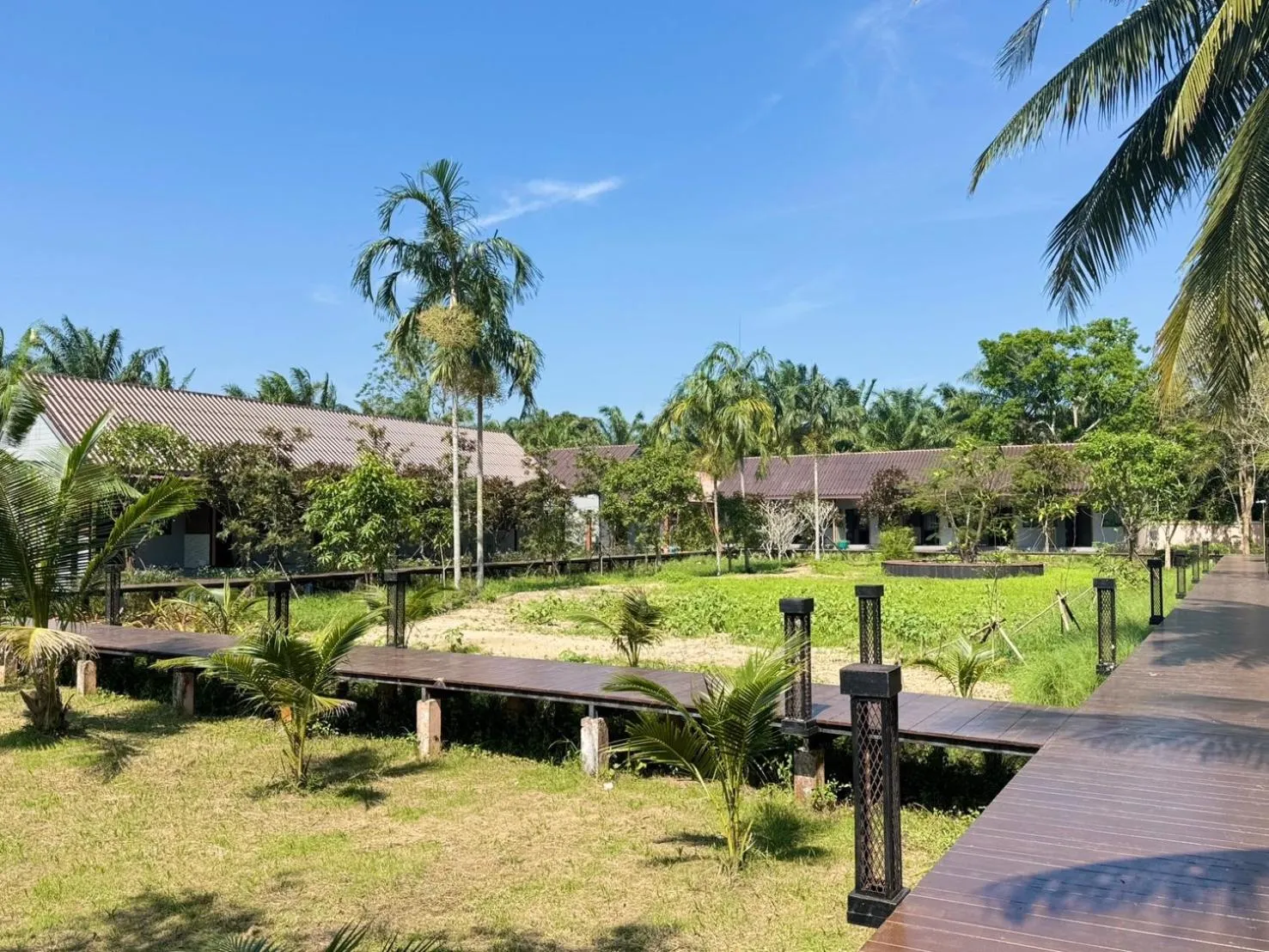 Natural landscape in Tusita Wellness Resort