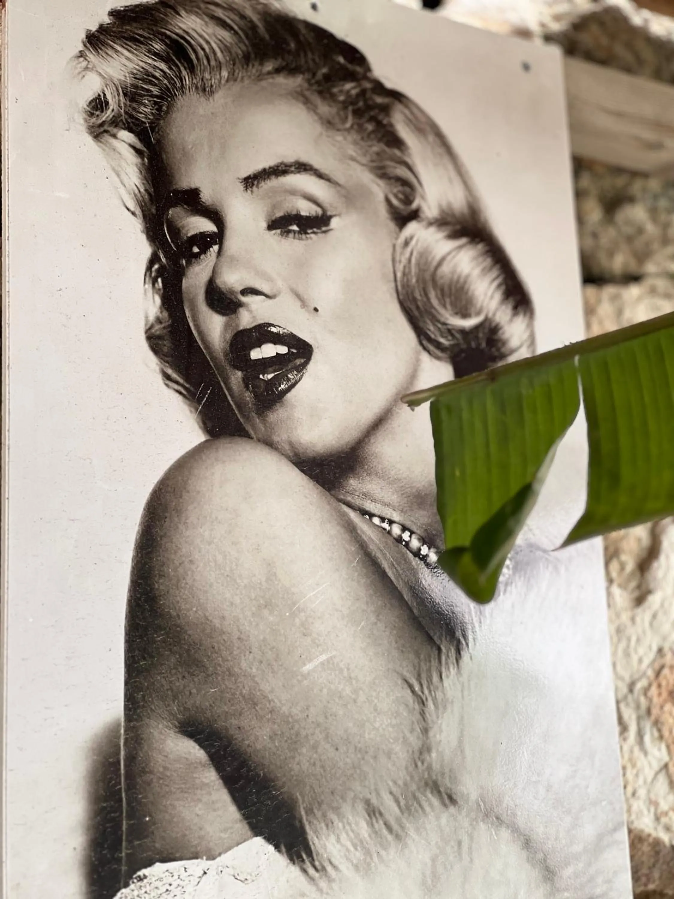 Vila Rahmi & Veli Dervishaj