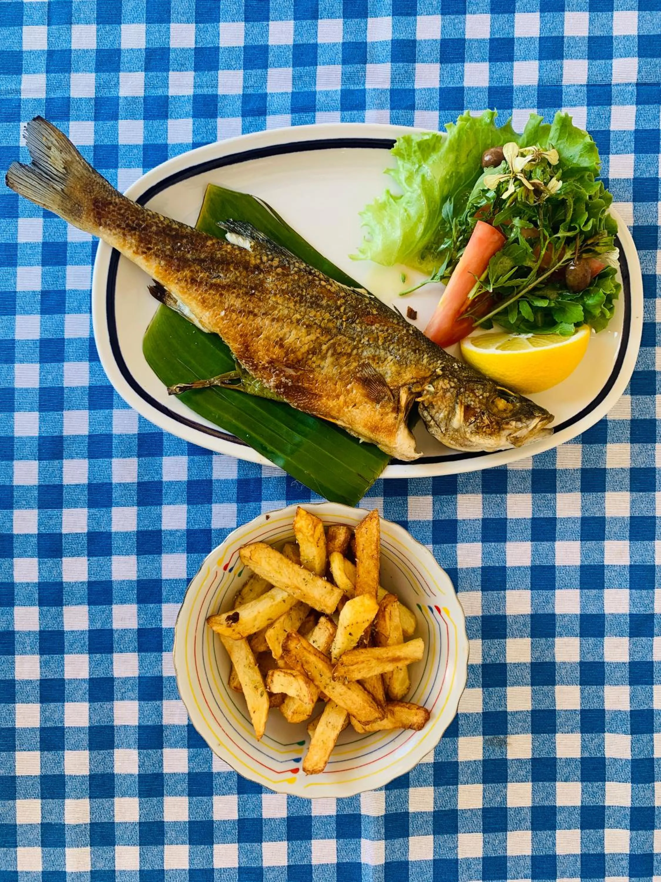 Vila Rahmi & Veli Dervishaj