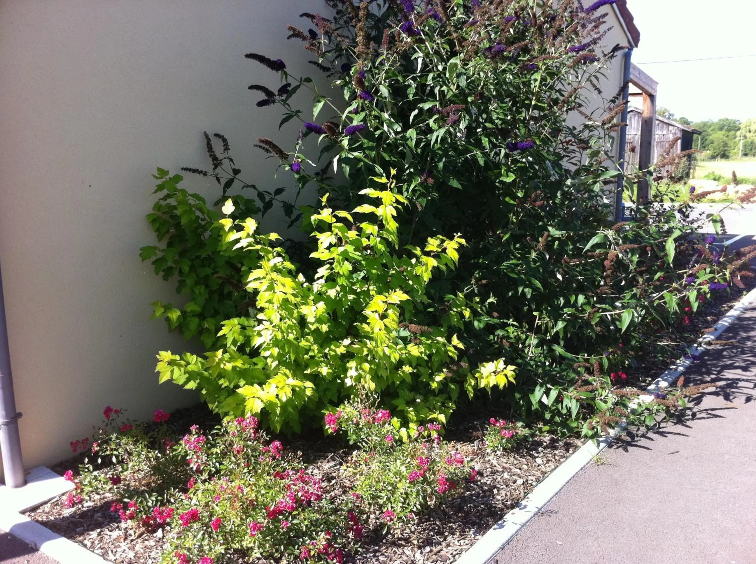 Garden view in Fasthôtel Le Râle Des Genêts - Un hôtel FH Collection