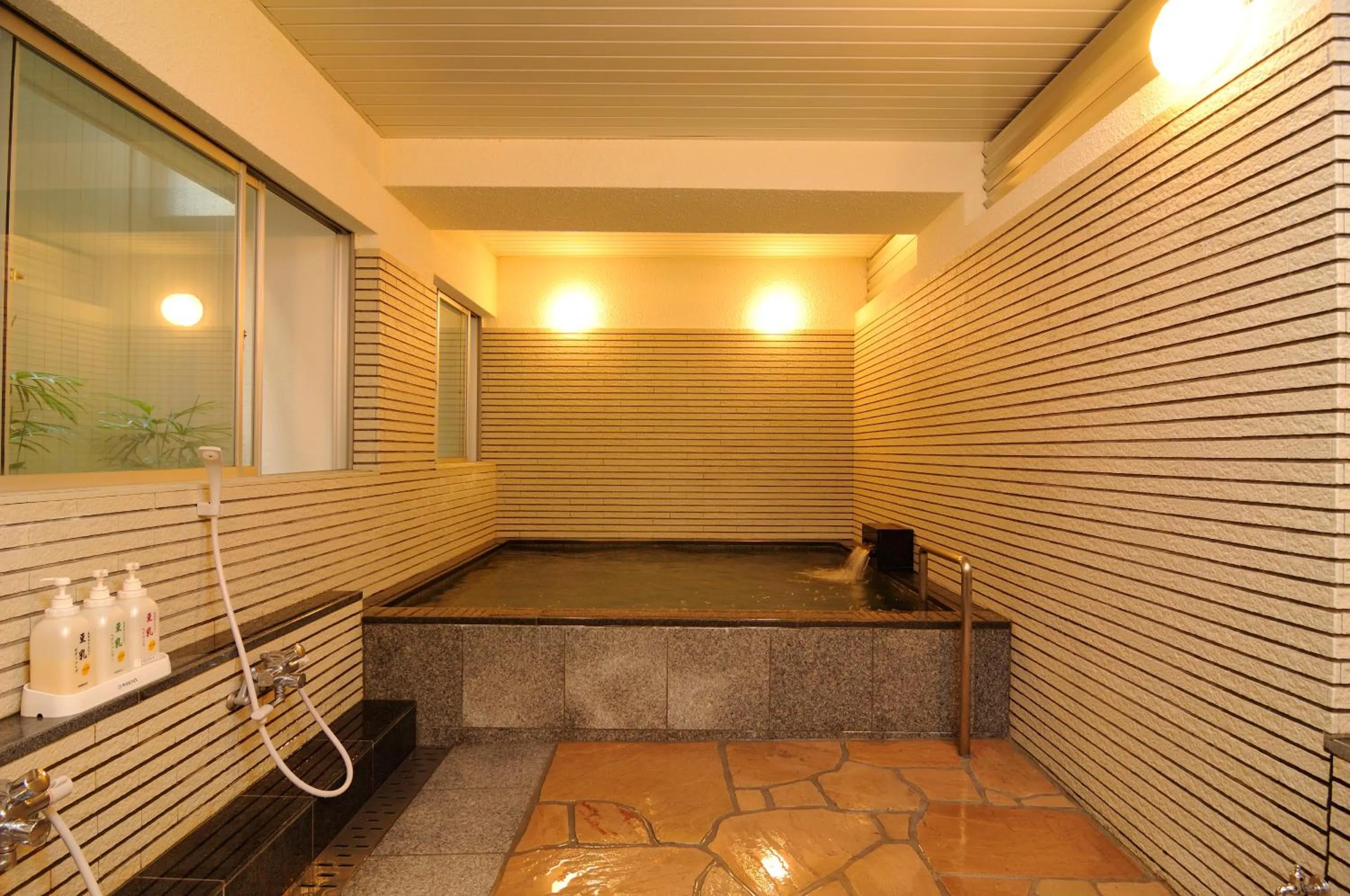 Bathroom in Hotel Iida