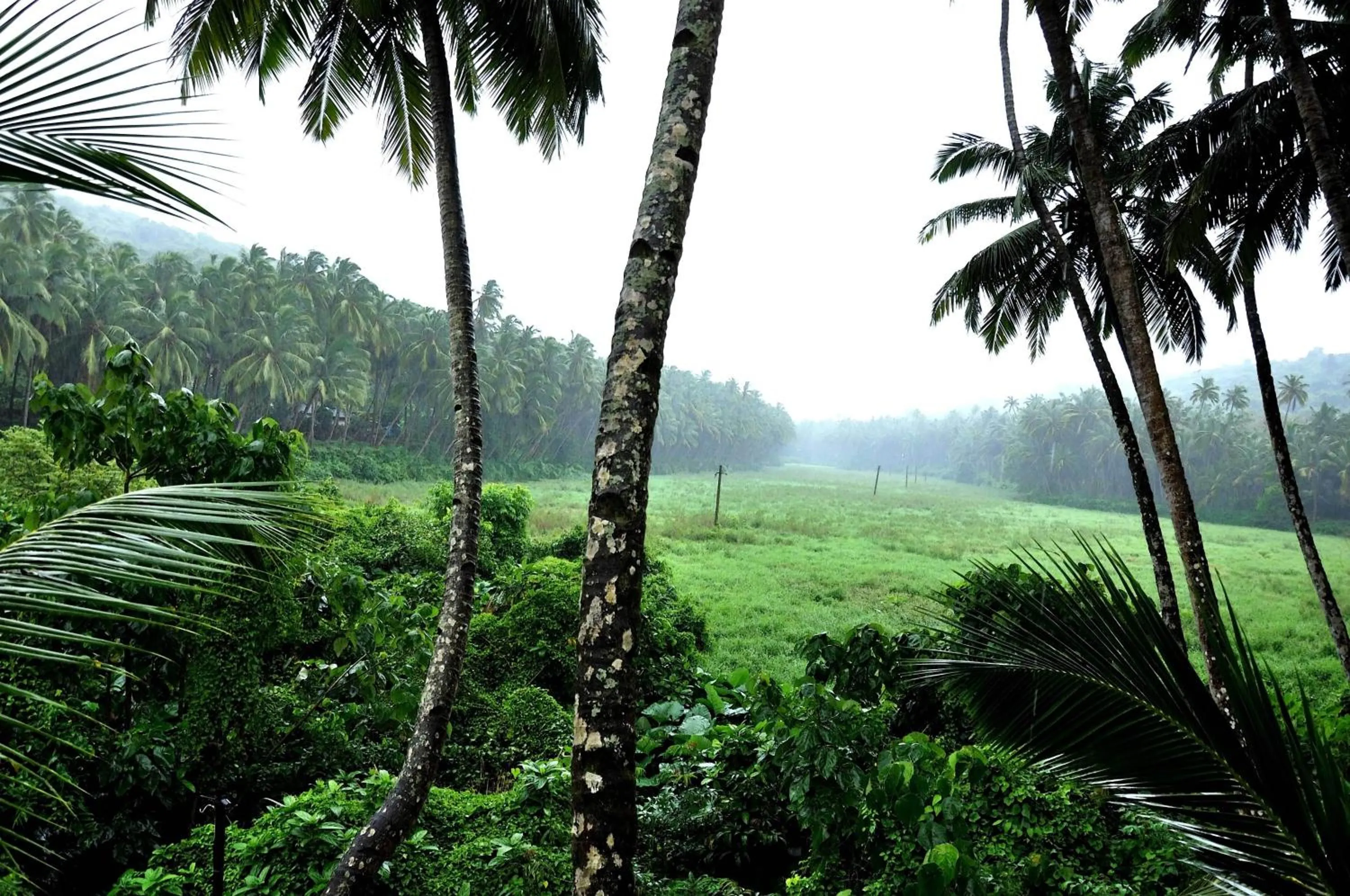 Area and facilities in Devasthali - The Valley of Gods