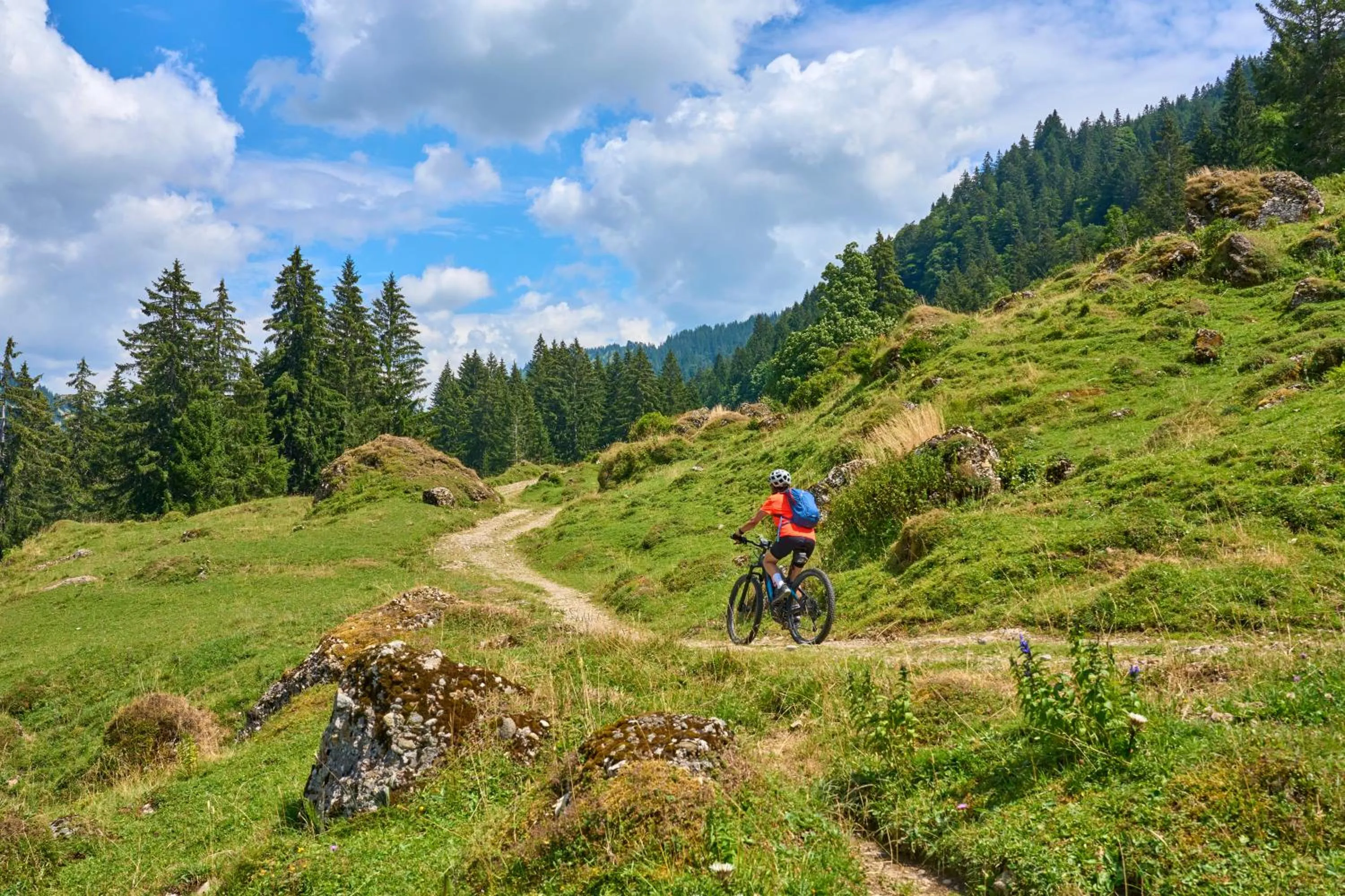 Cycling in Hotel Alpennest