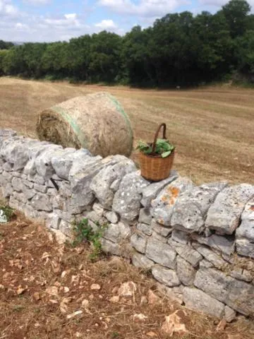 Garden in Borgo trulli 1789