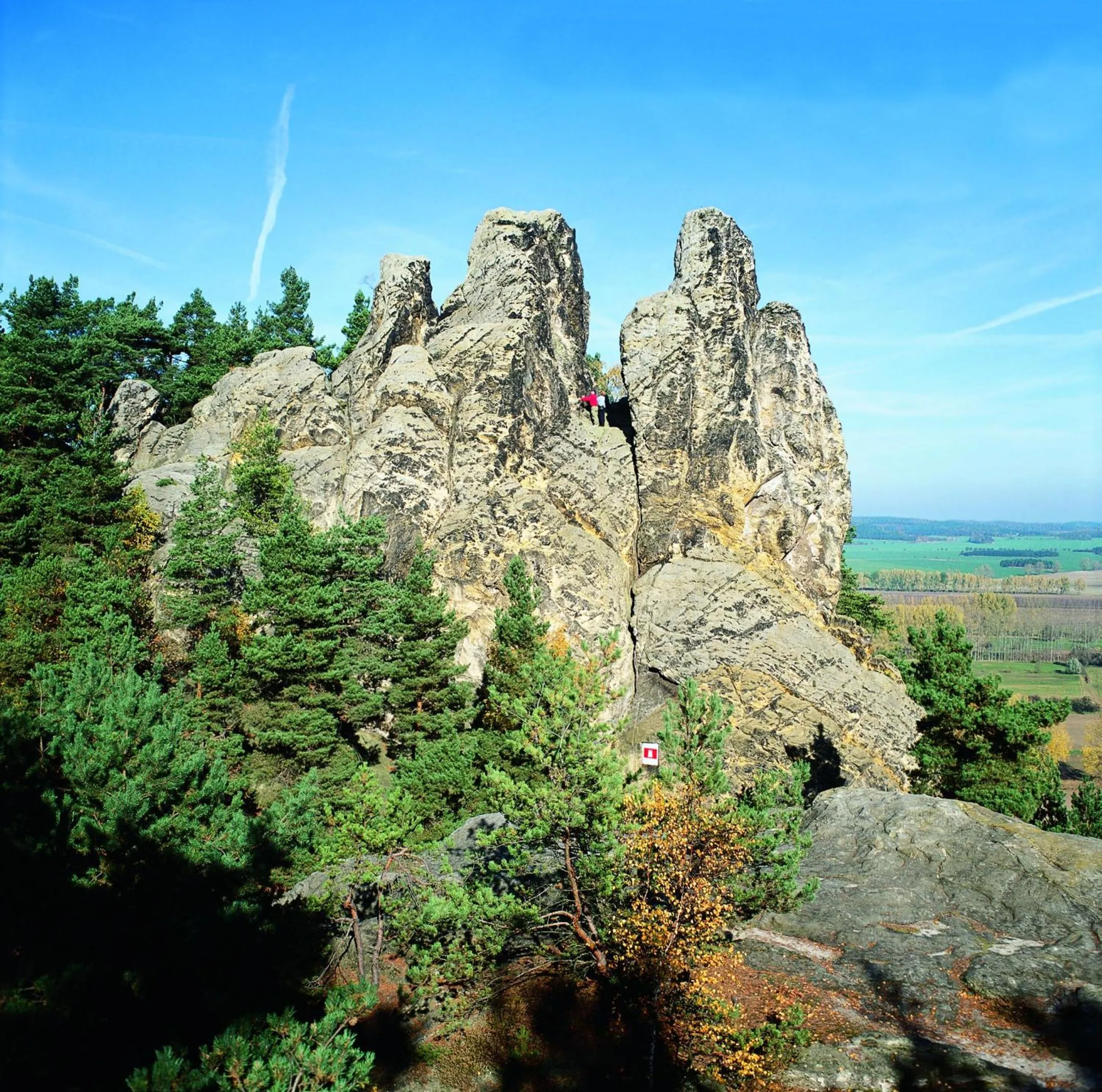 Nearby landmark in Le petit Palais - Hotel/Pension