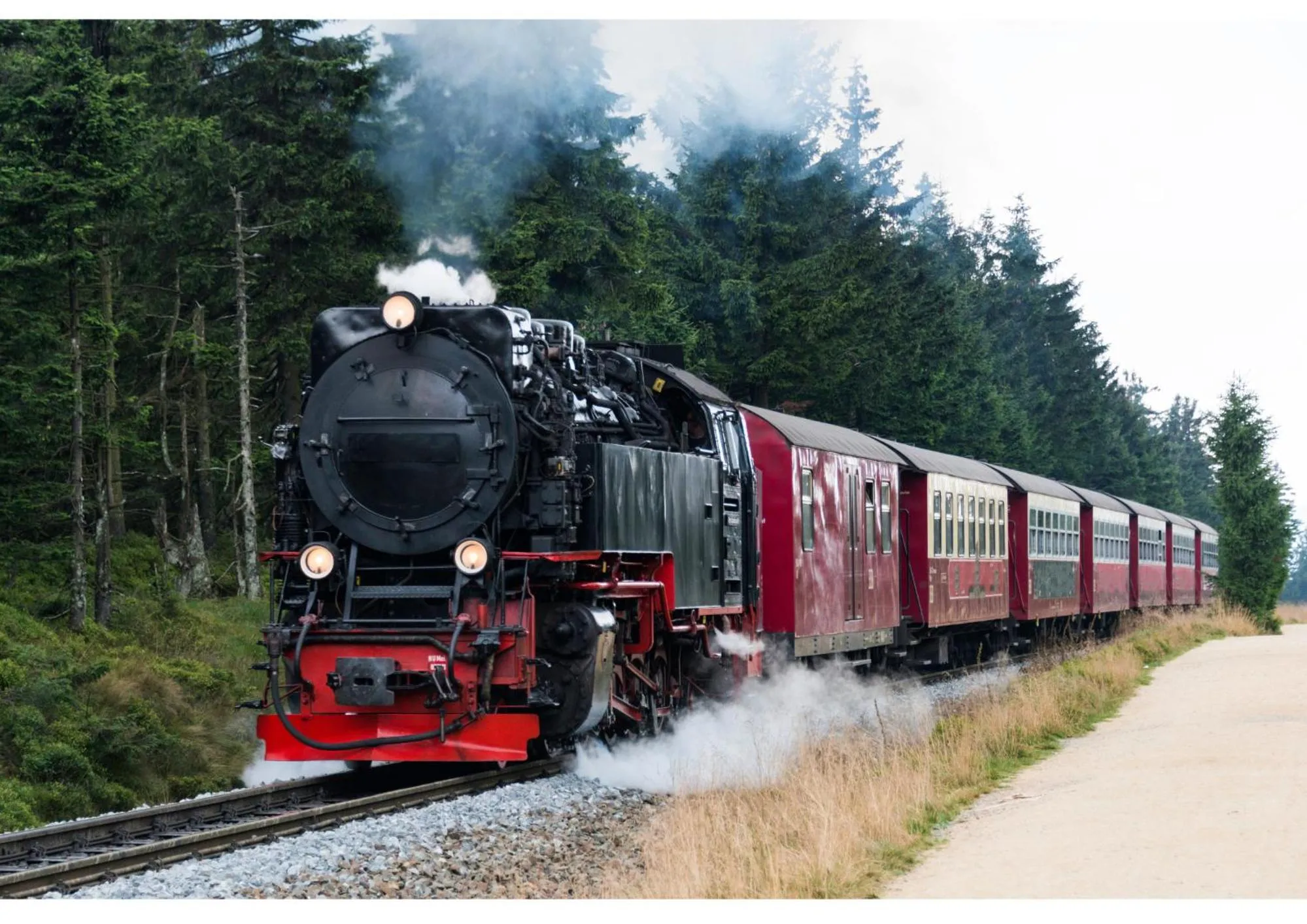 Nearby landmark in Le petit Palais - Hotel/Pension