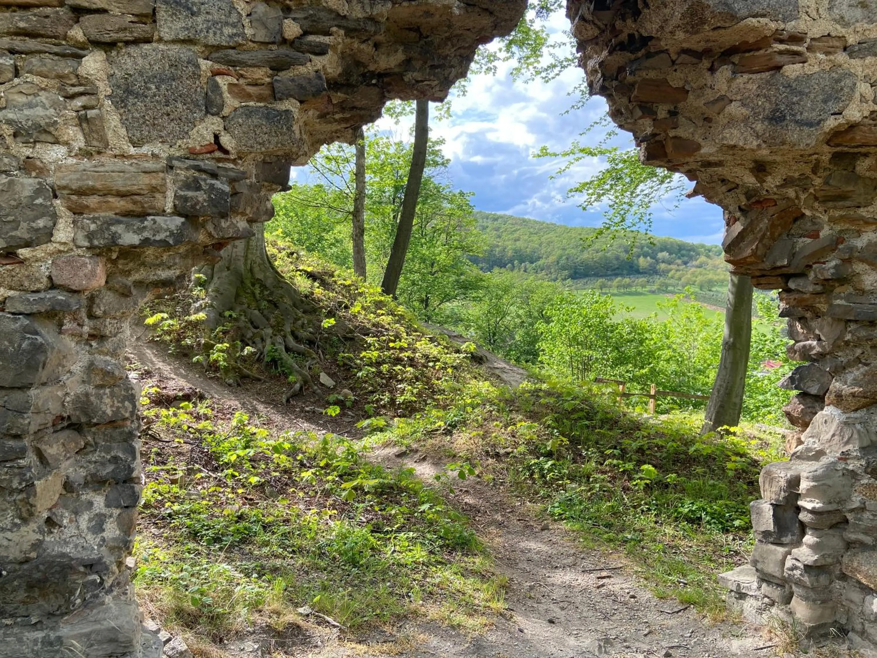 Nearby landmark in Le petit Palais - Hotel/Pension