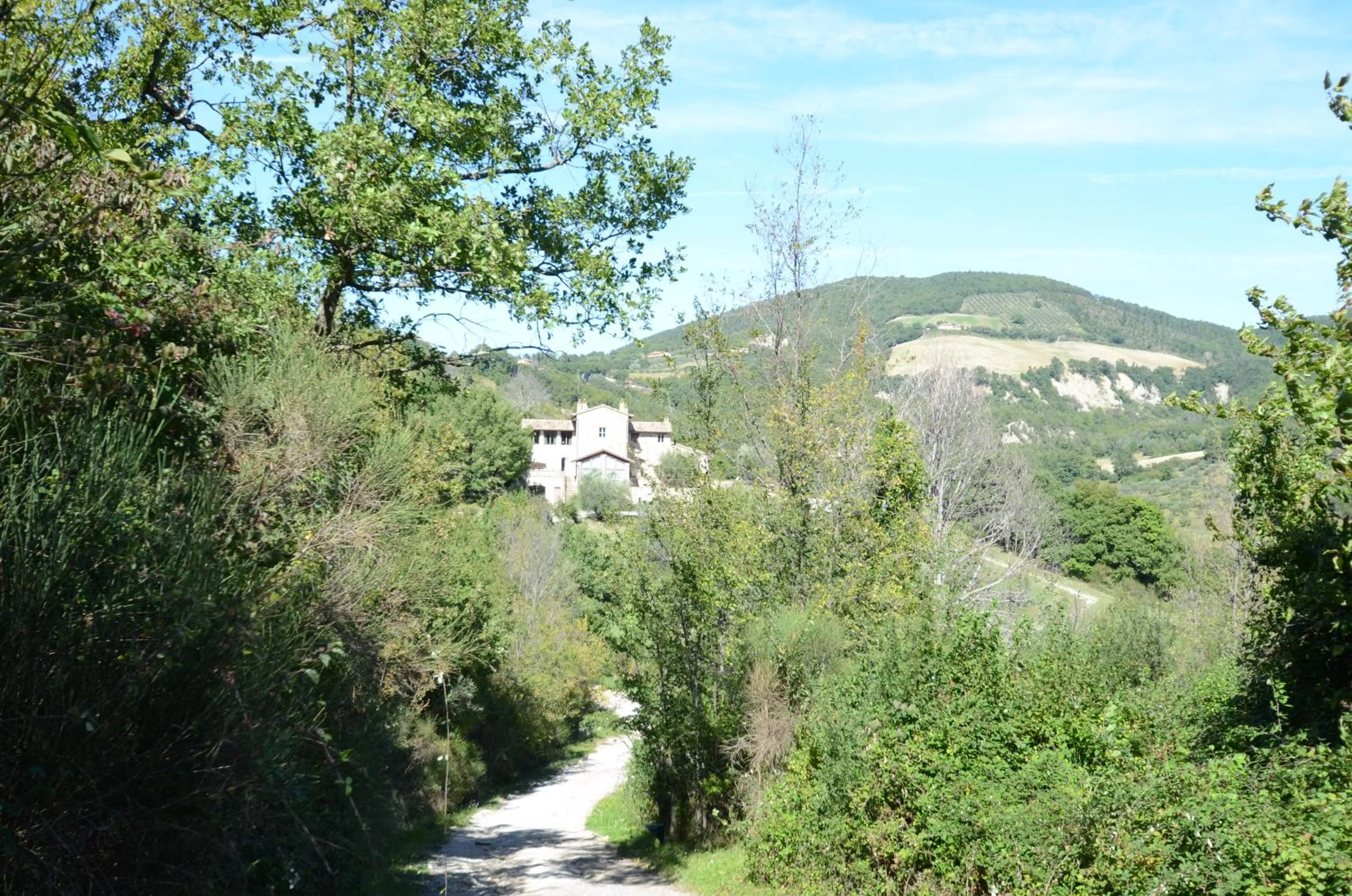 Street view in Casale Merlino