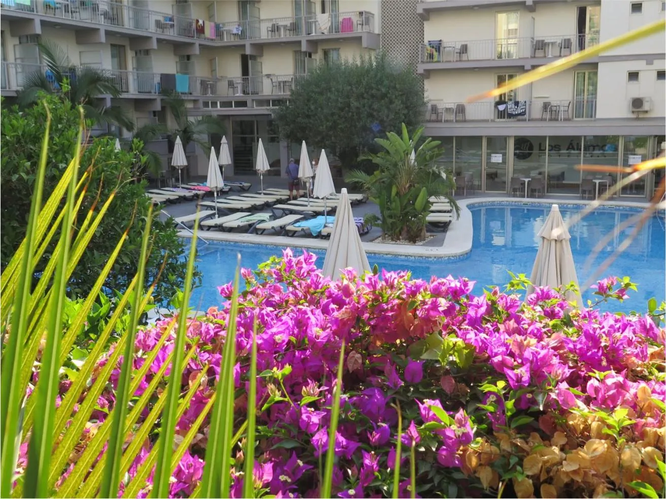 Pool view in Los Álamos