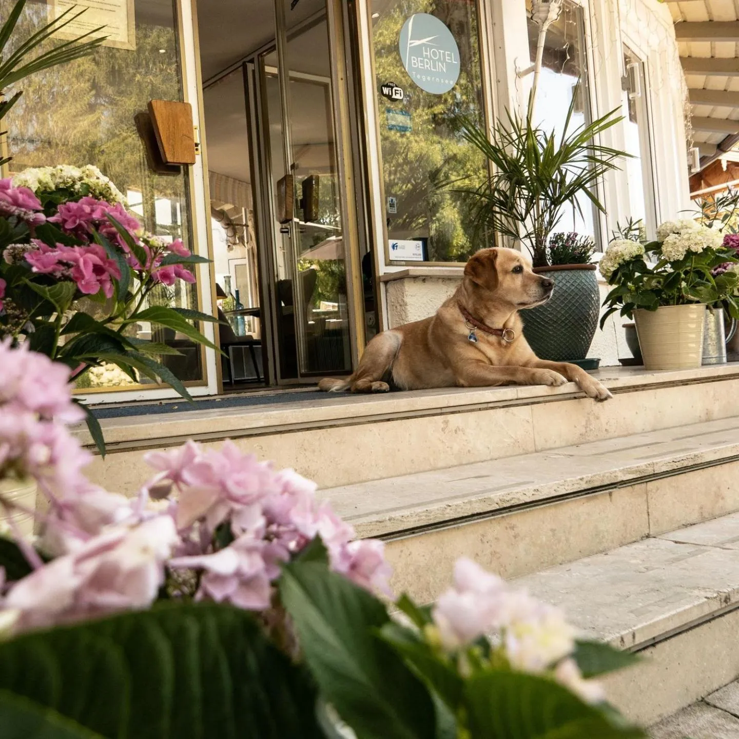 Animals in Hotel Berlin Tegernsee