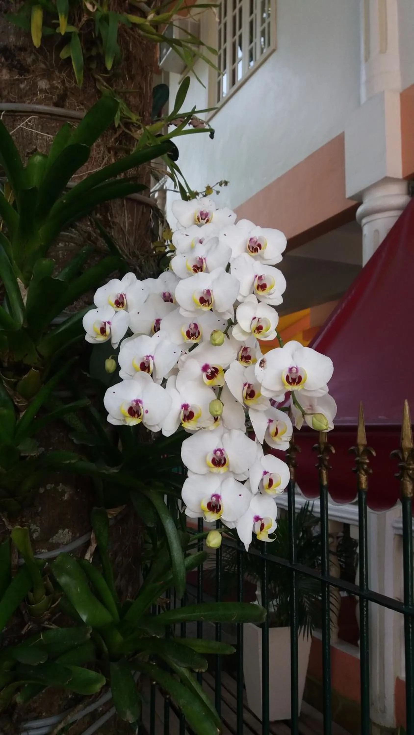 Spring in Pousada Casablanca