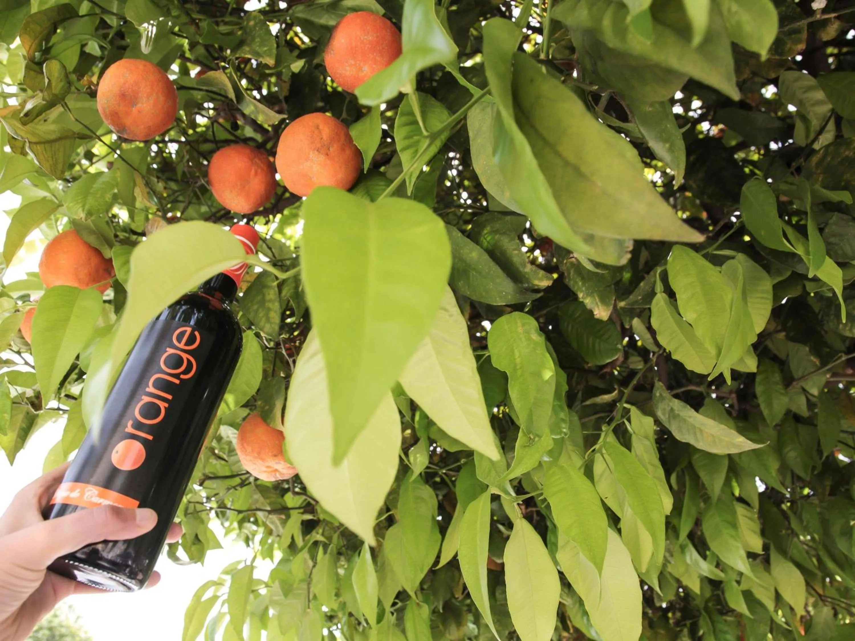 Lounge or bar in Ibis Sevilla