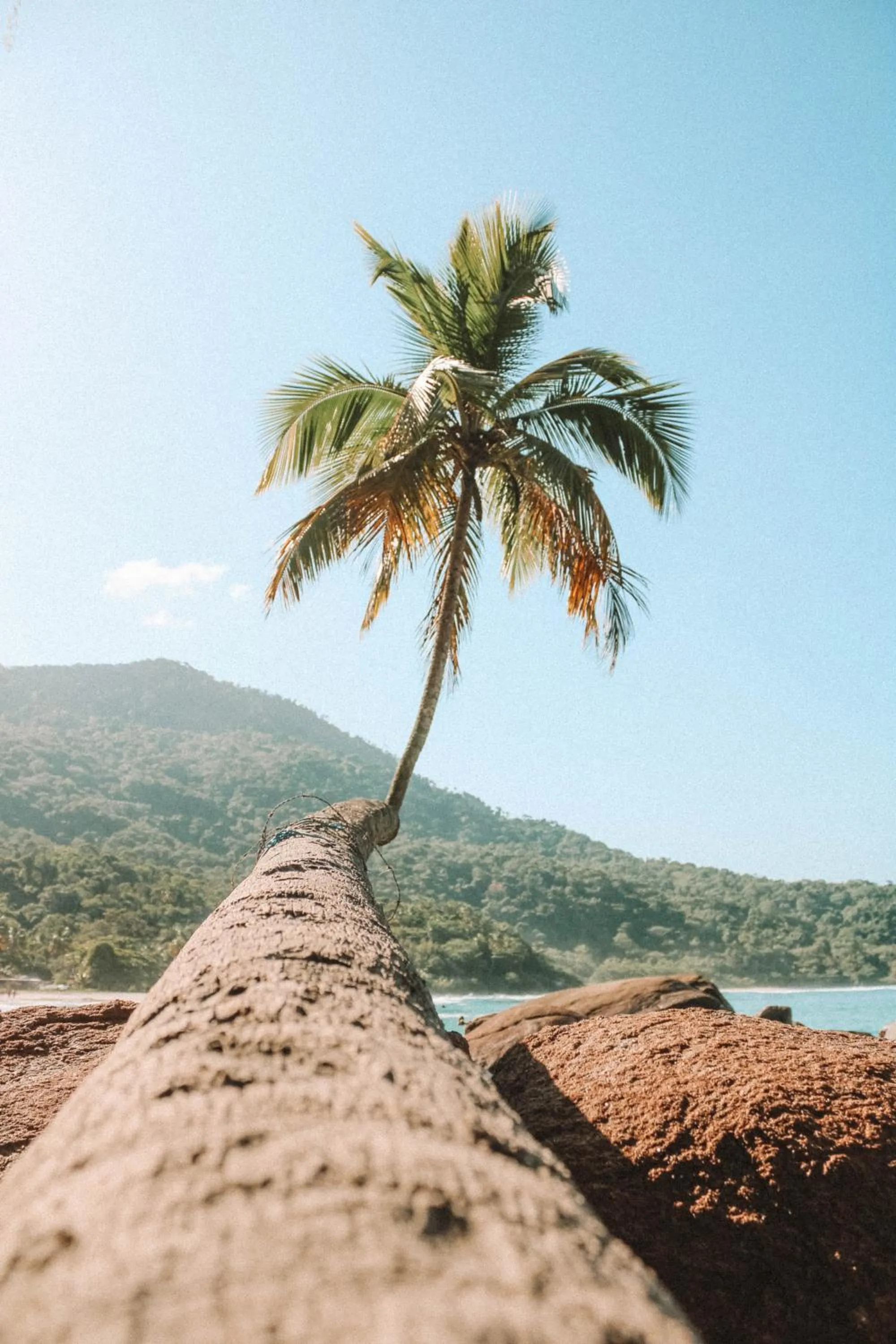 Day in Lonier Praia Inn Flats