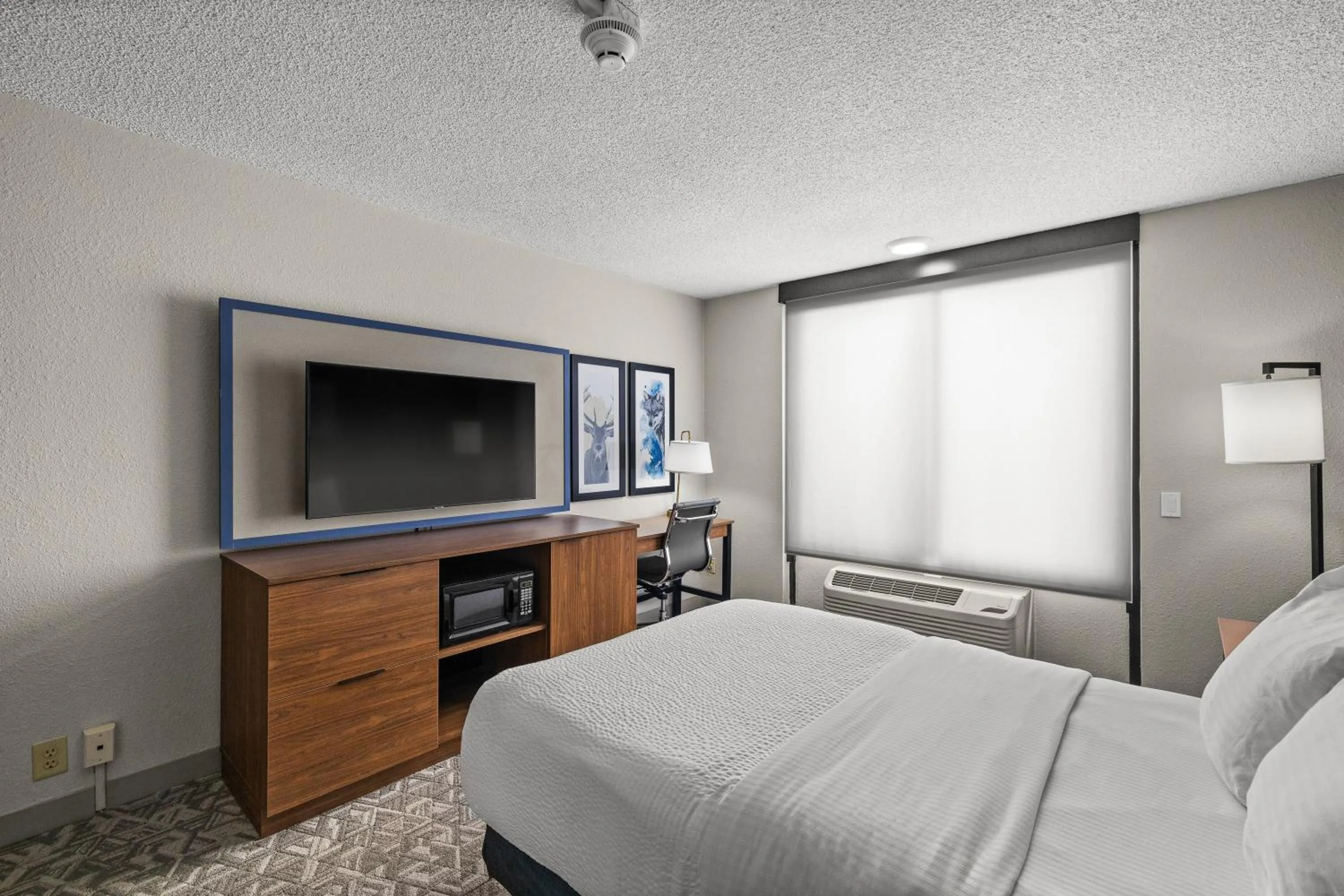 acessibility, Bed in AmericInn by Wyndham Casper Event Center Area