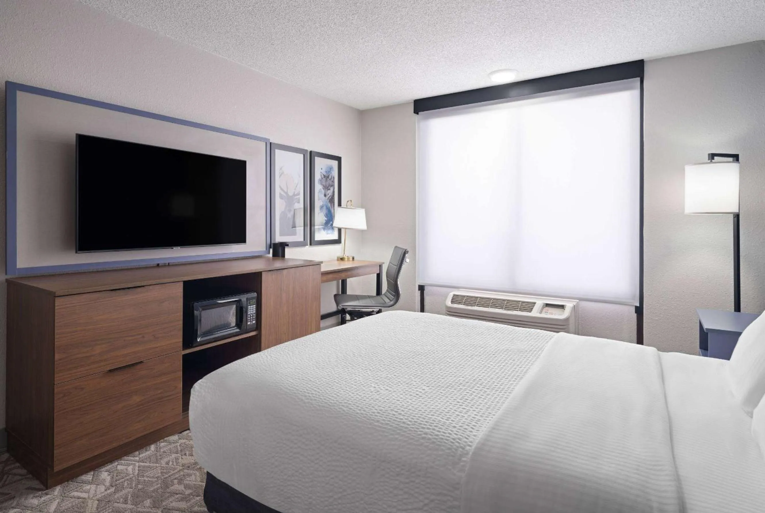 Photo of the whole room, Bed in AmericInn by Wyndham Casper Event Center Area