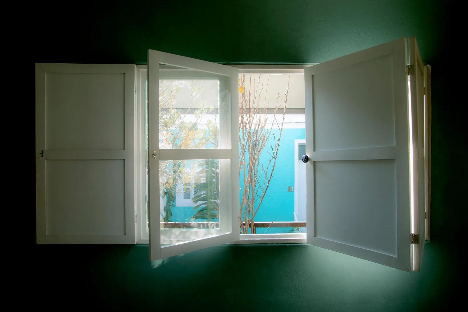 Garden view in La Casa del Atrio