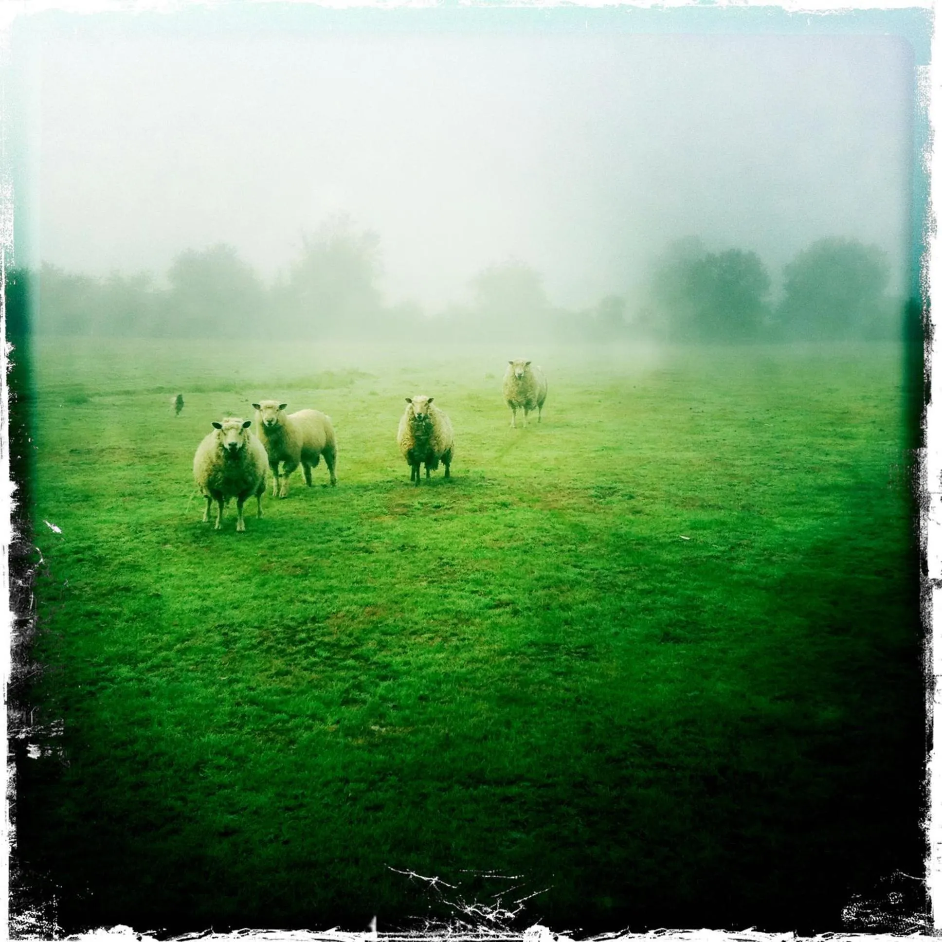 Garden in Relais de Chasse la Chaignaie