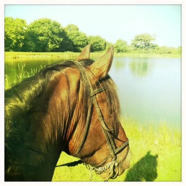 Garden in Relais de Chasse la Chaignaie