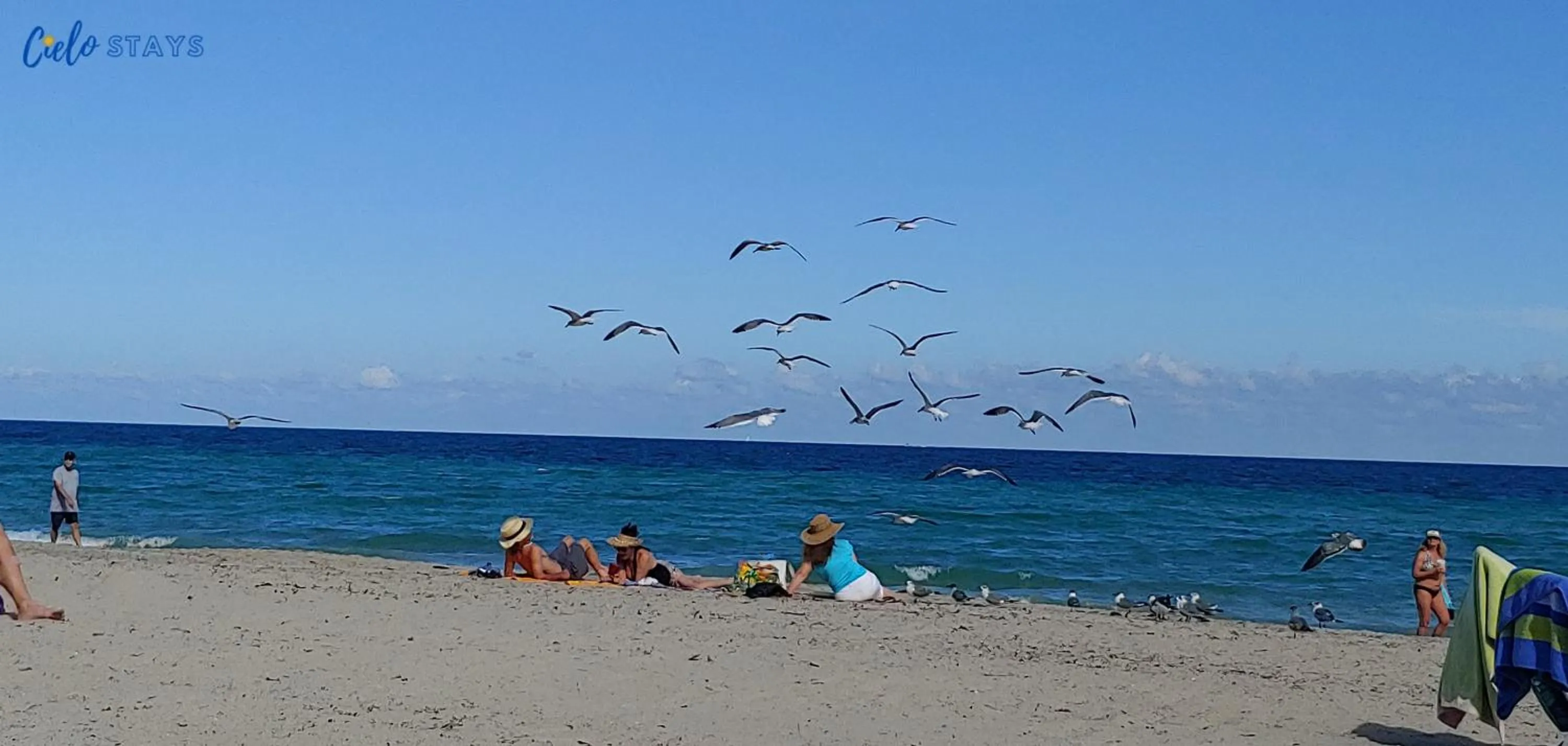 Beach in CH Luxury Condos & Studios On The Beach