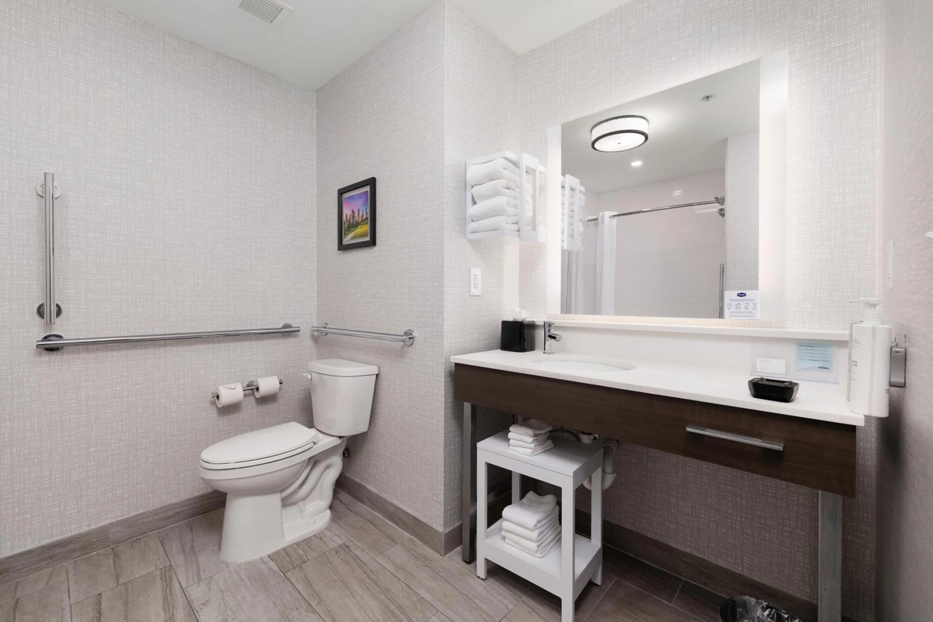 Toilet in Hampton Inn & Suites McAllen