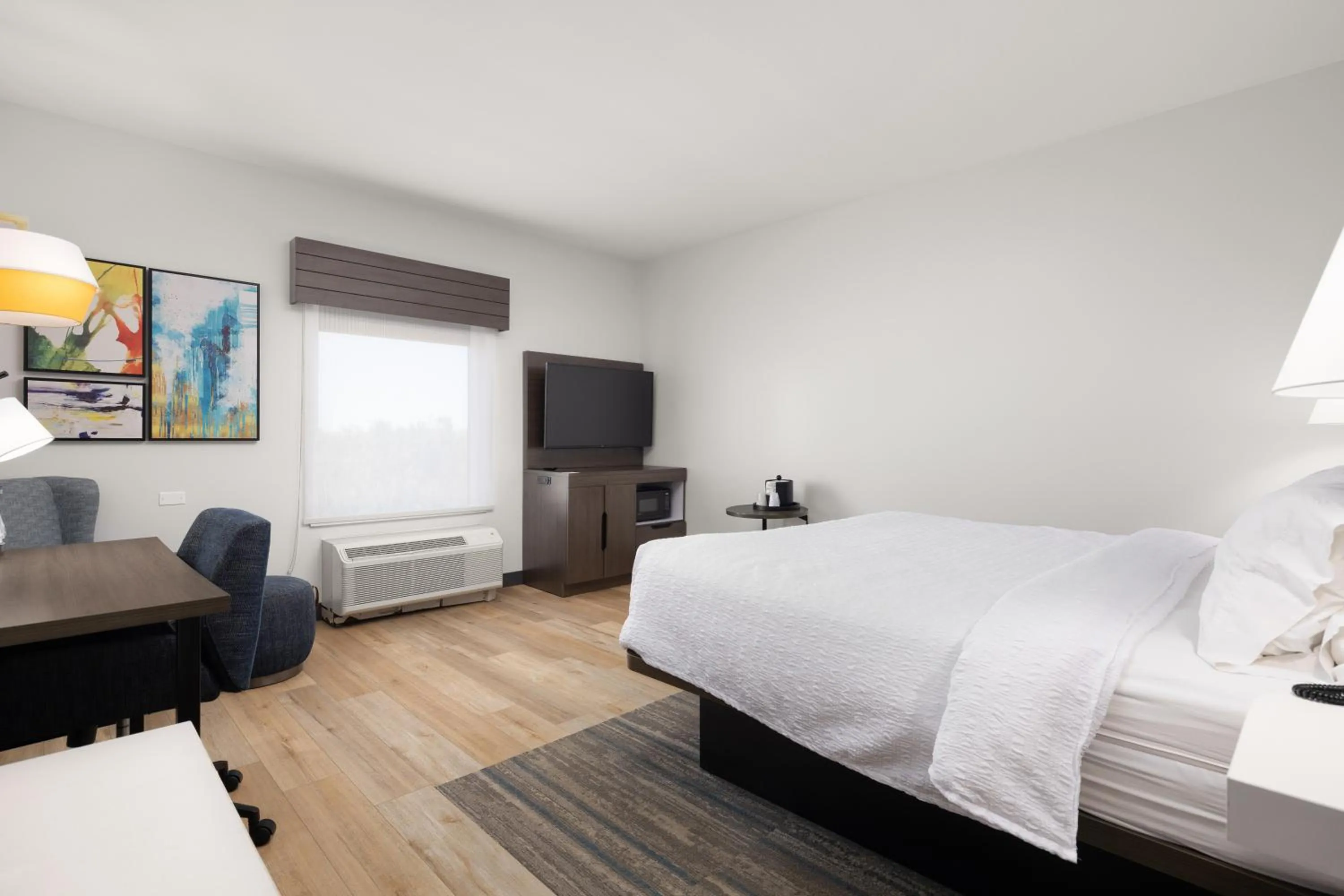 TV and multimedia, Bed in Hampton Inn & Suites McAllen