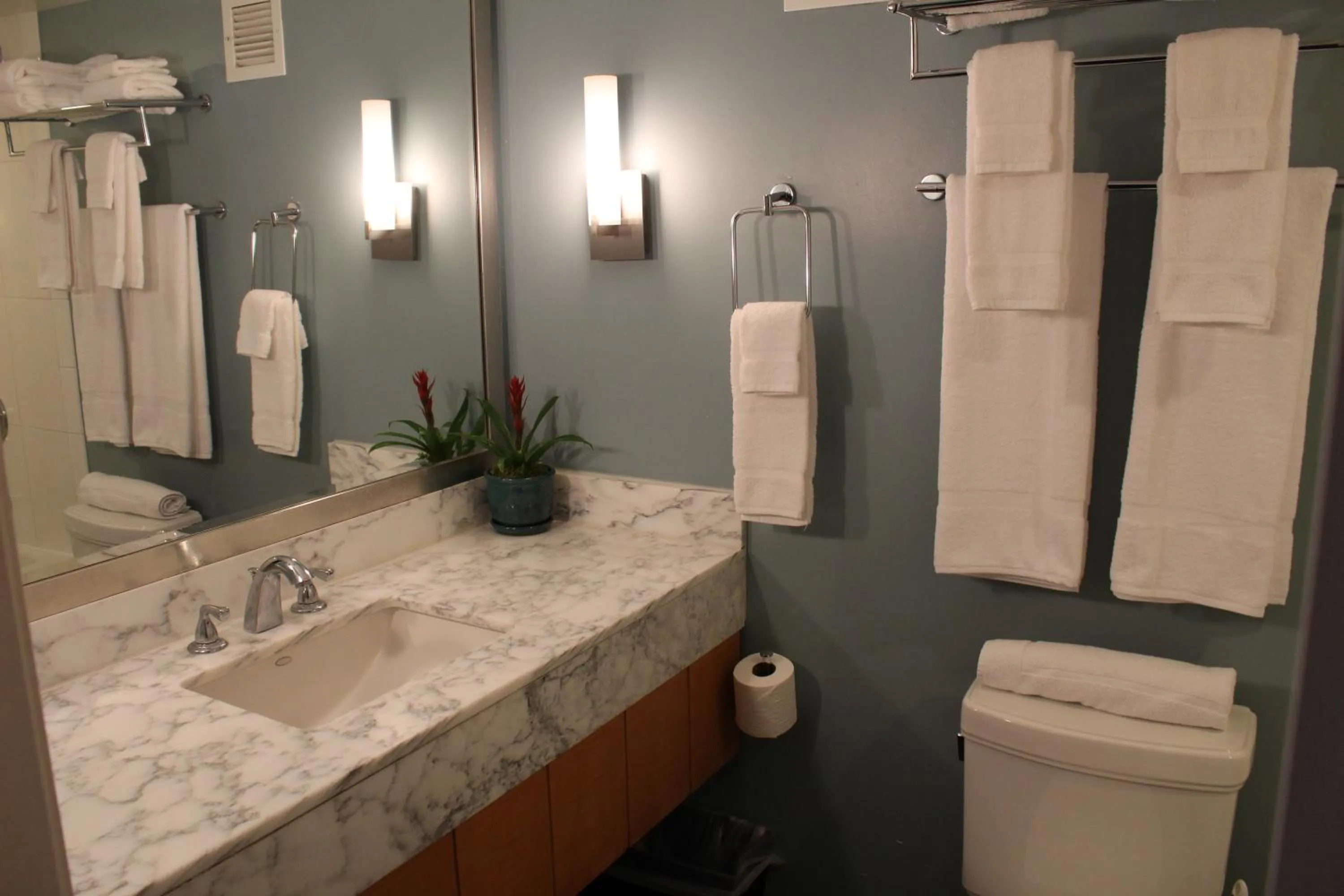 Bathroom in LSI Resorts at Ala Moana