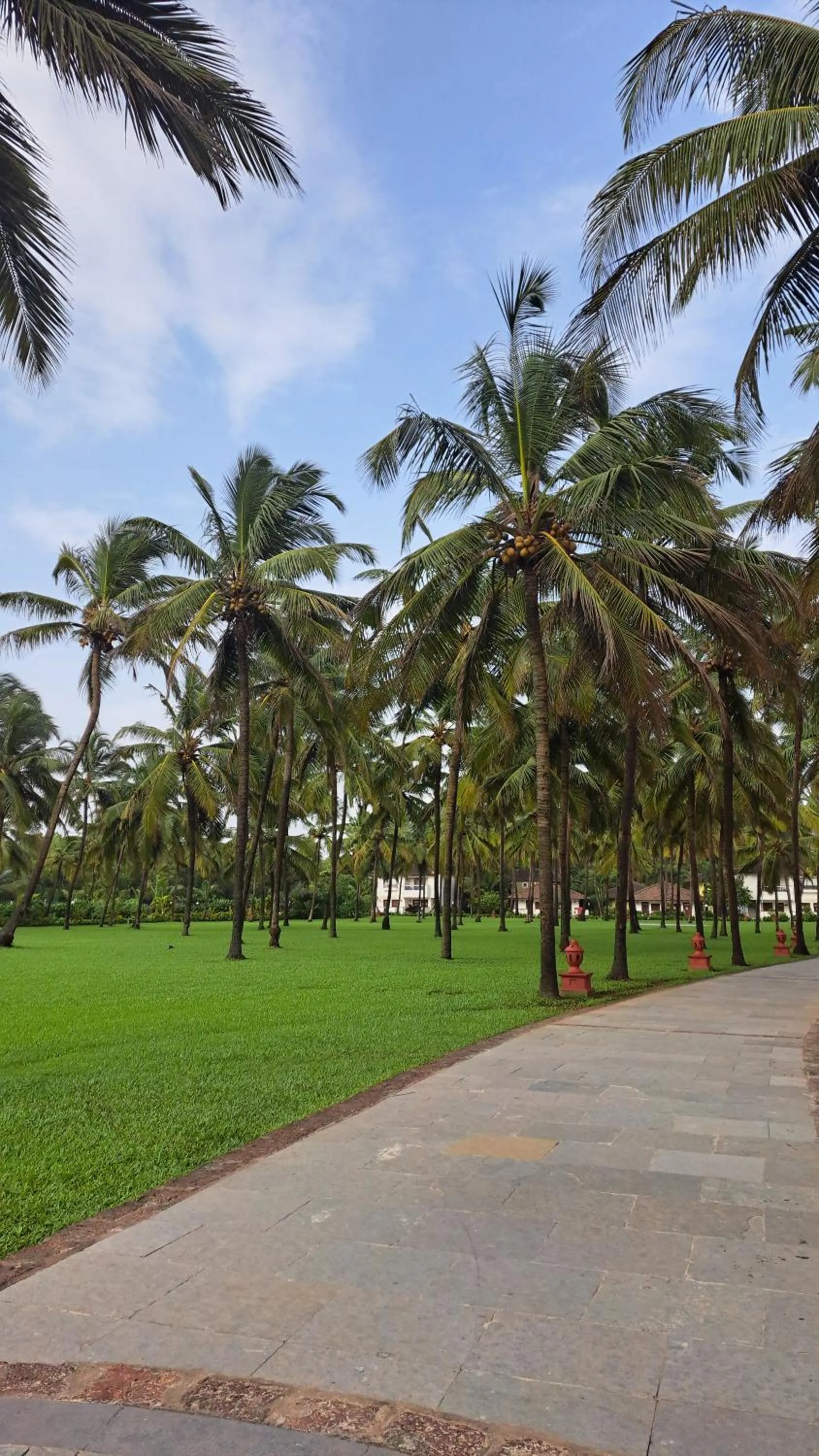 Natural landscape in Novotel Goa Dona Sylvia Resort
