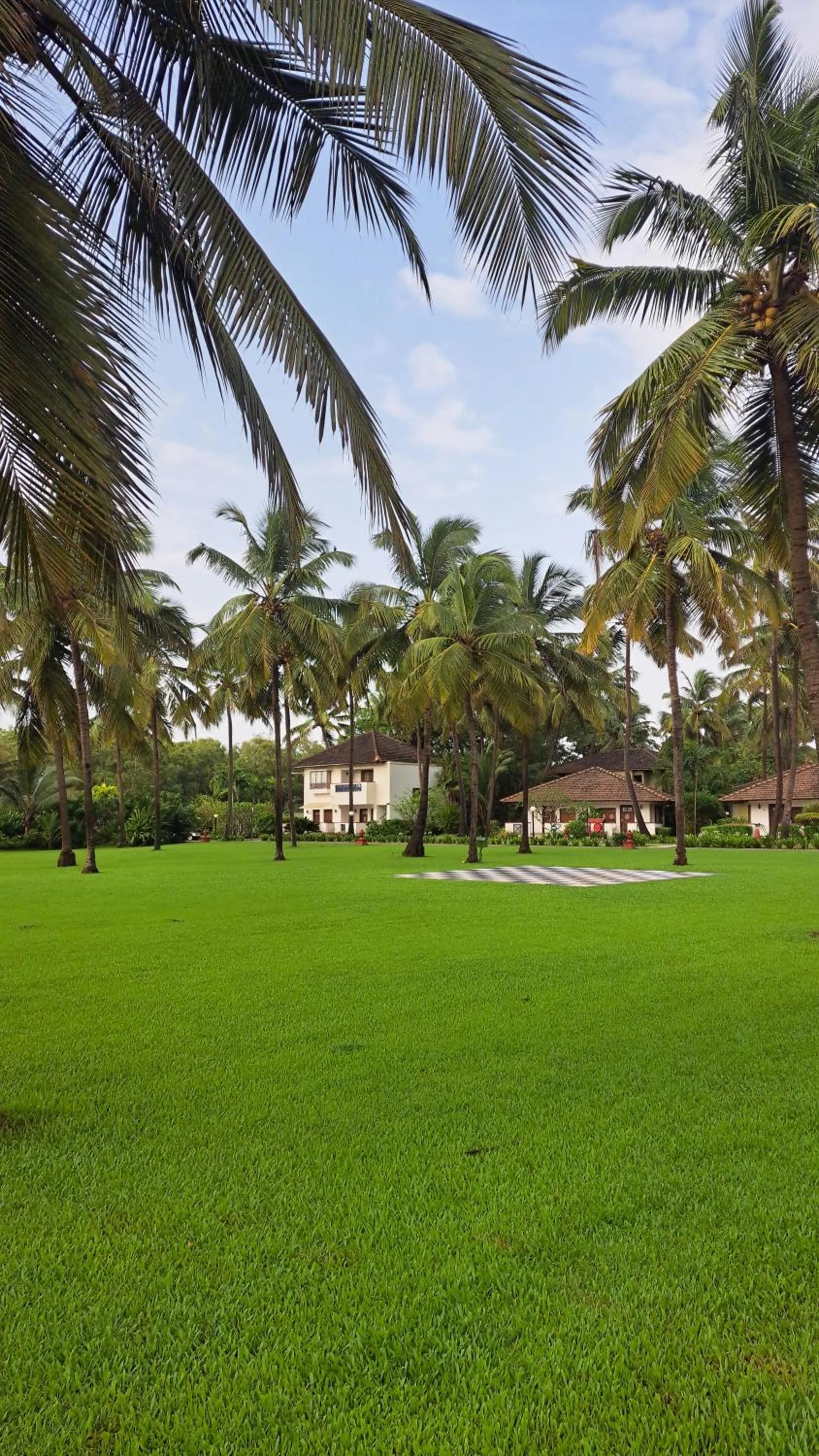 Natural landscape in Novotel Goa Dona Sylvia Resort