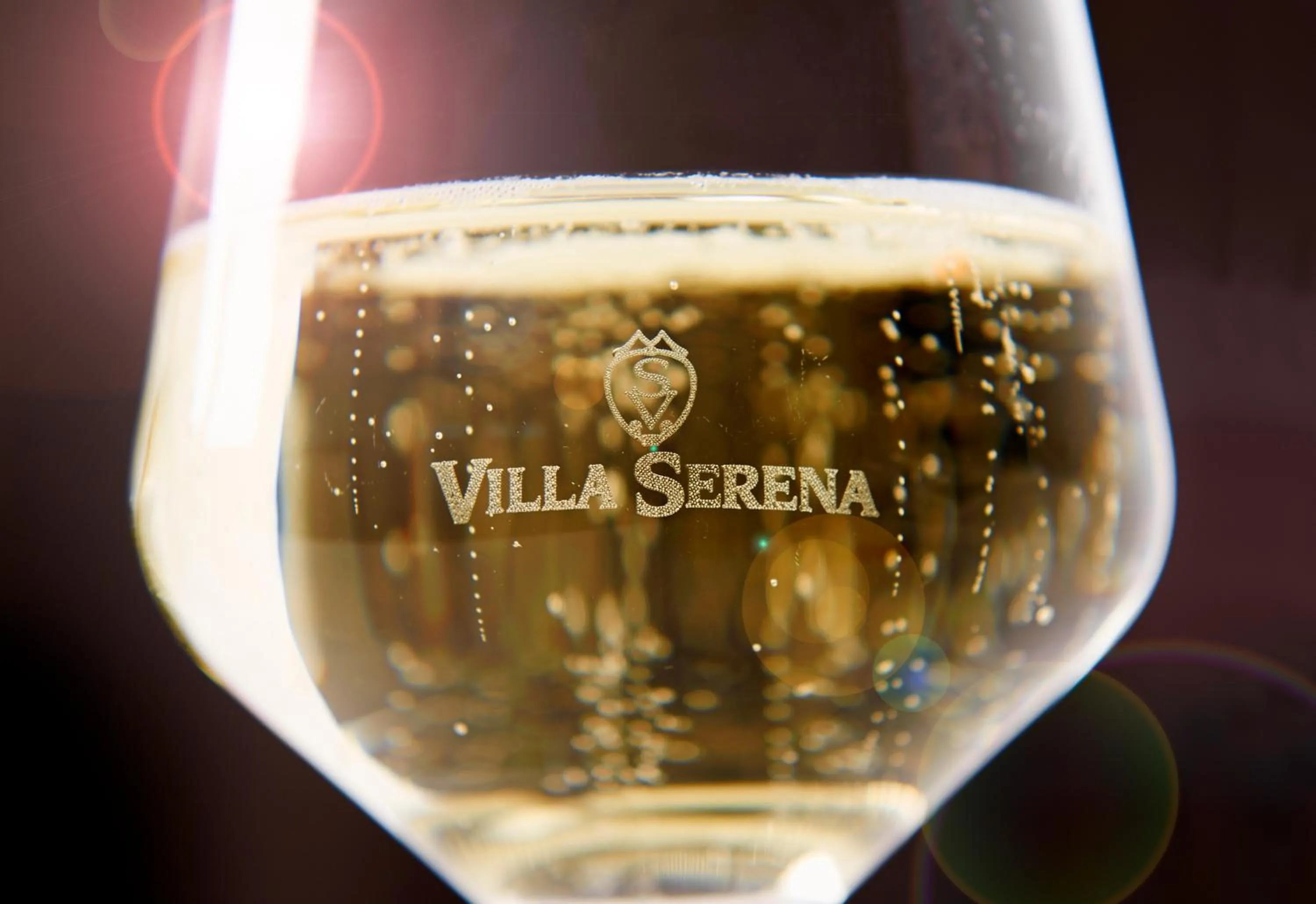 Alcoholic drinks in Villa Serena Agriturismo