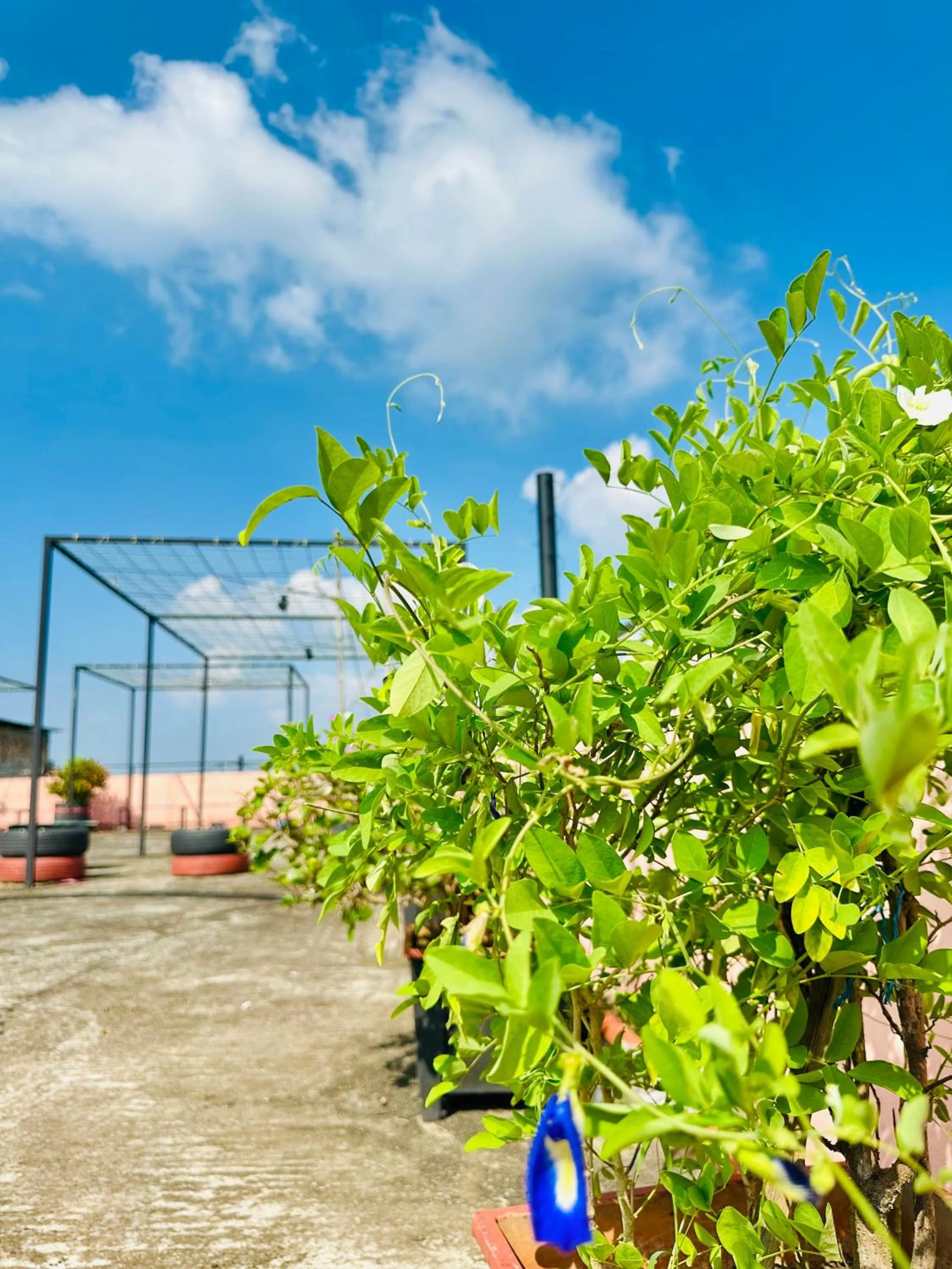 soundproof in Grand Selim Resort & Tour – GSRT