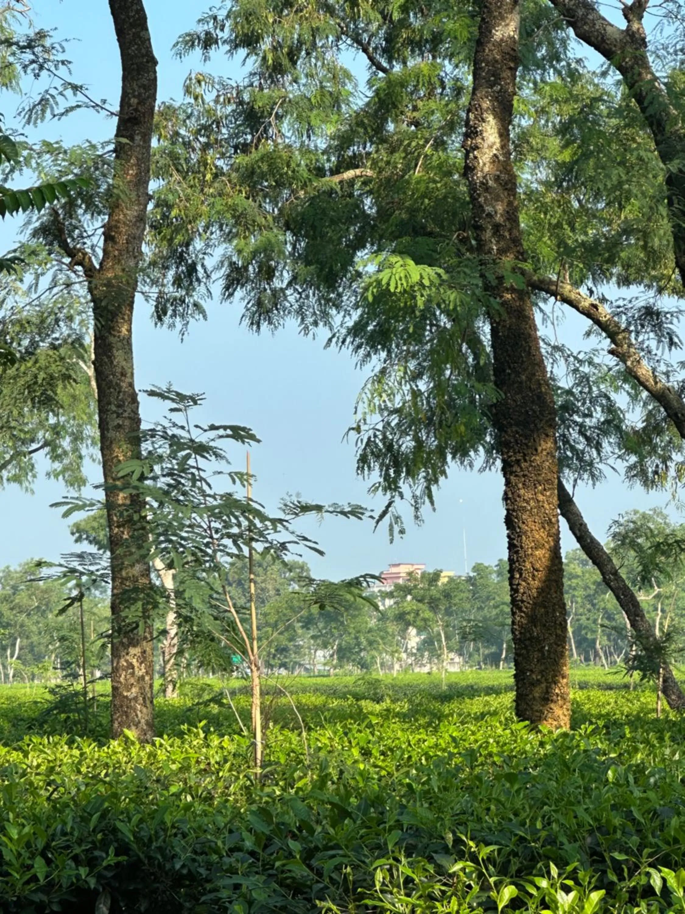 Day in Grand Selim Resort & Tour – GSRT