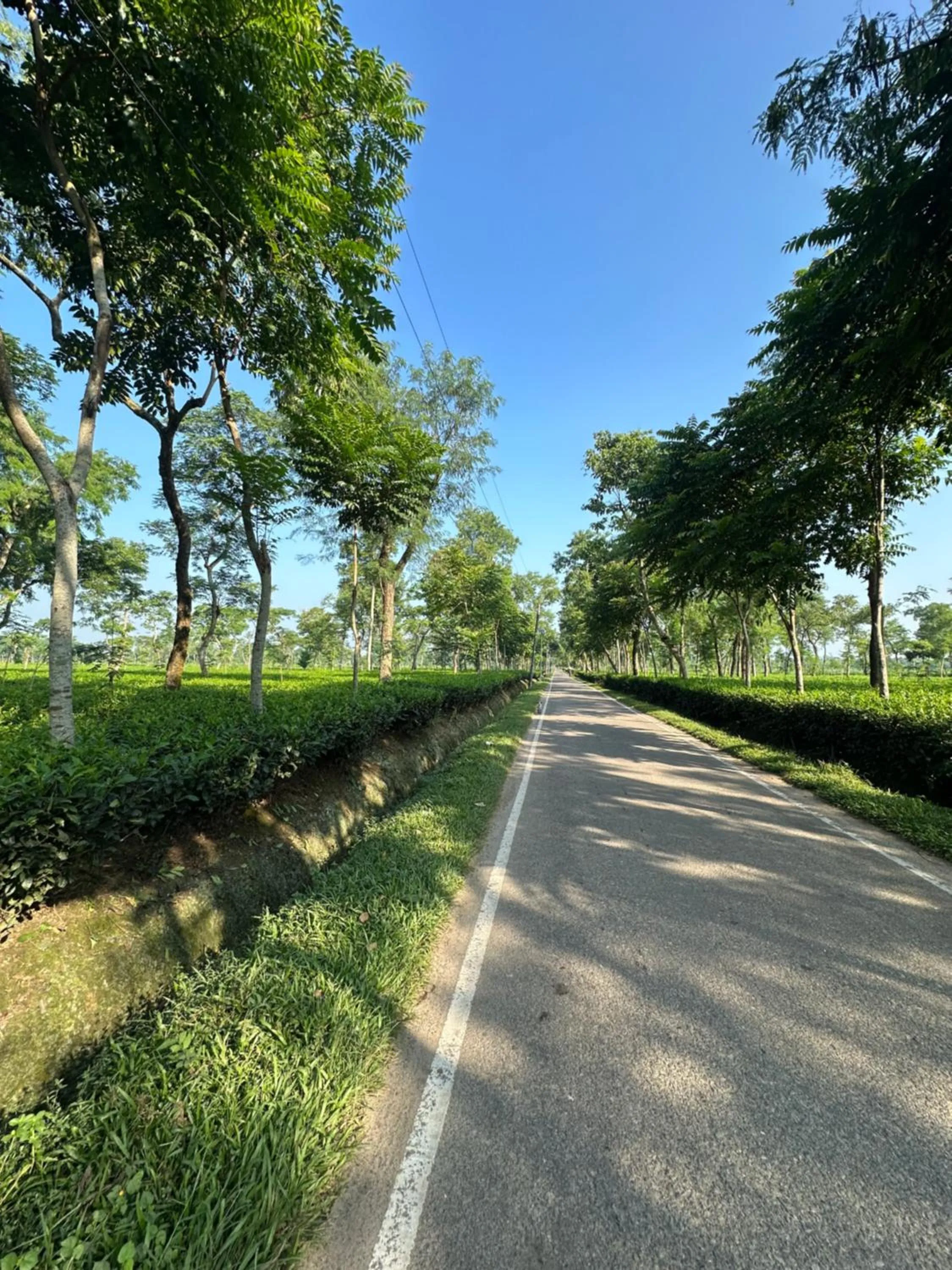 Neighbourhood in Grand Selim Resort & Tour – GSRT