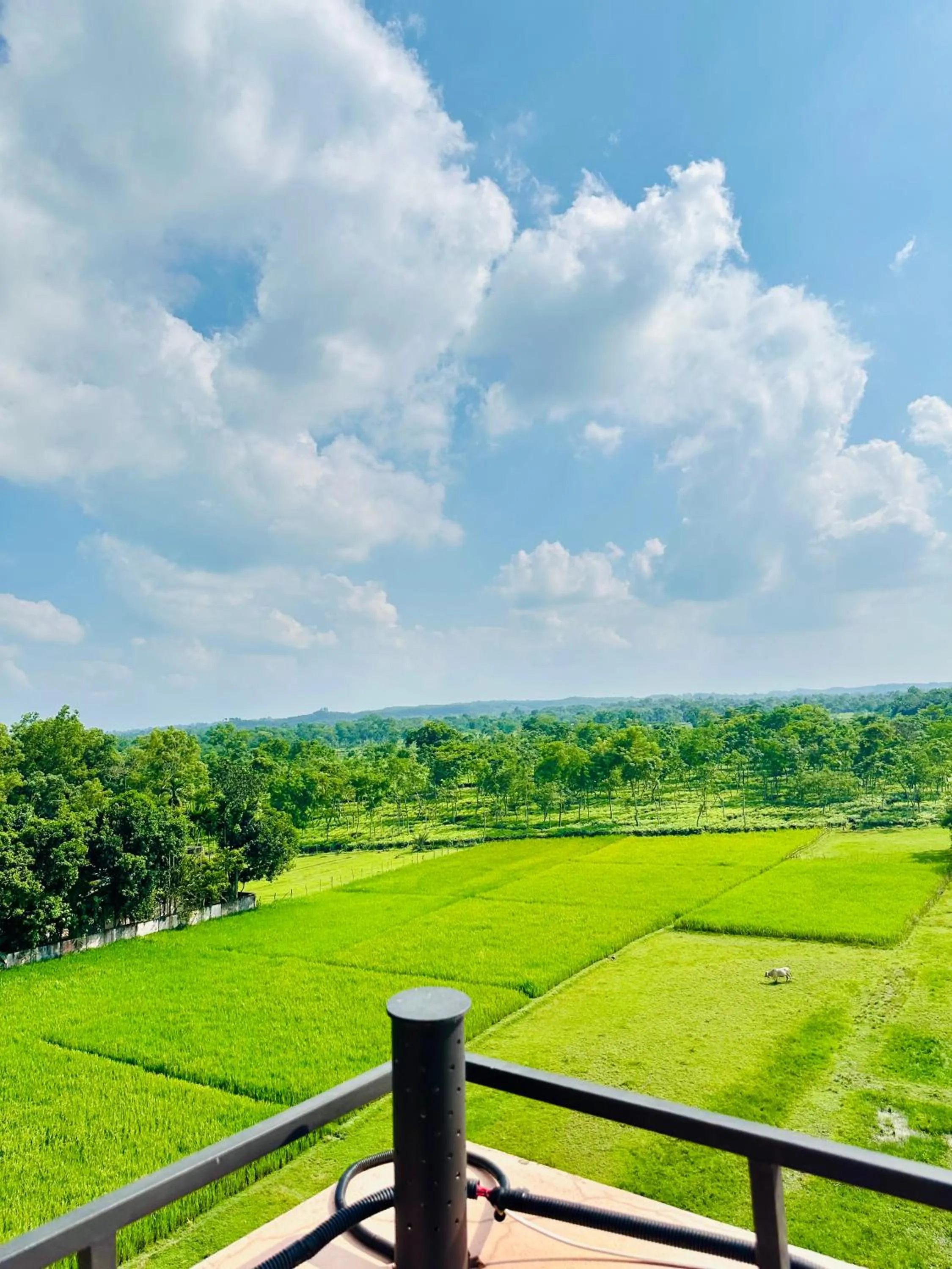 Nearby landmark in Grand Selim Resort & Tour – GSRT