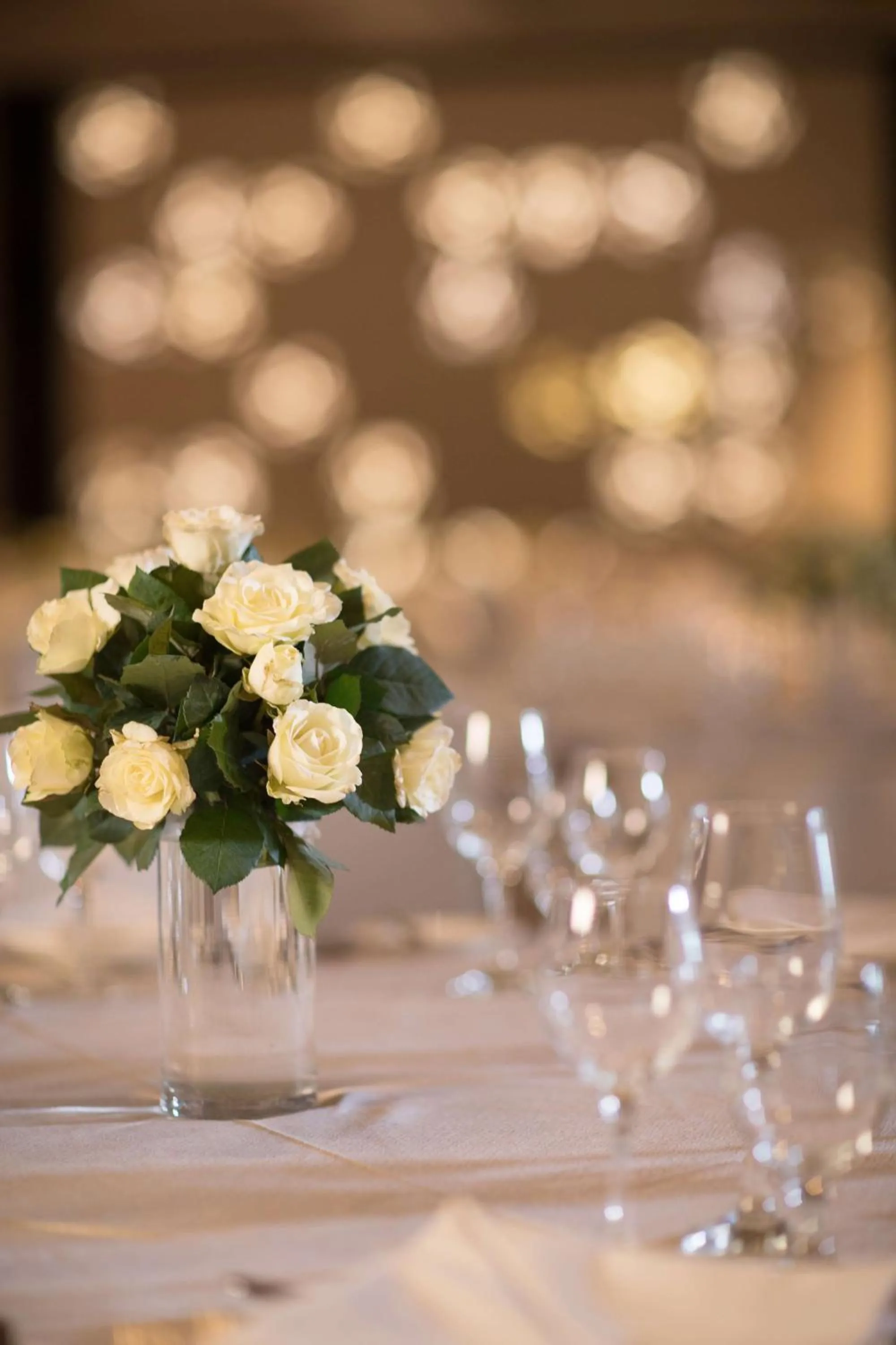 Banquet/Function facilities in Radisson Blu Cebu