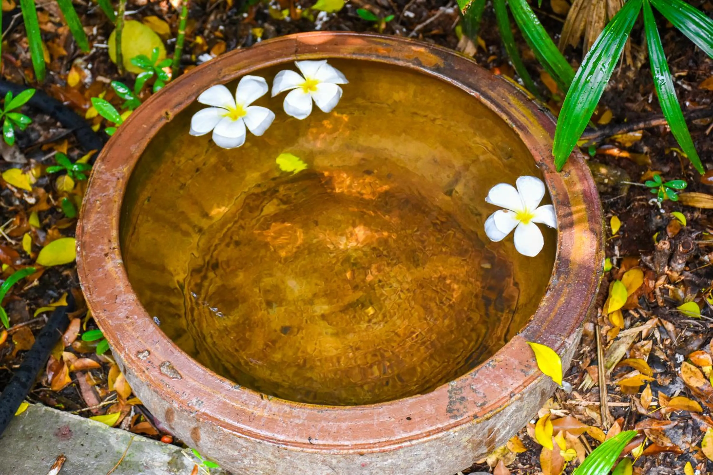 Sugar Hut Resort & Restaurant