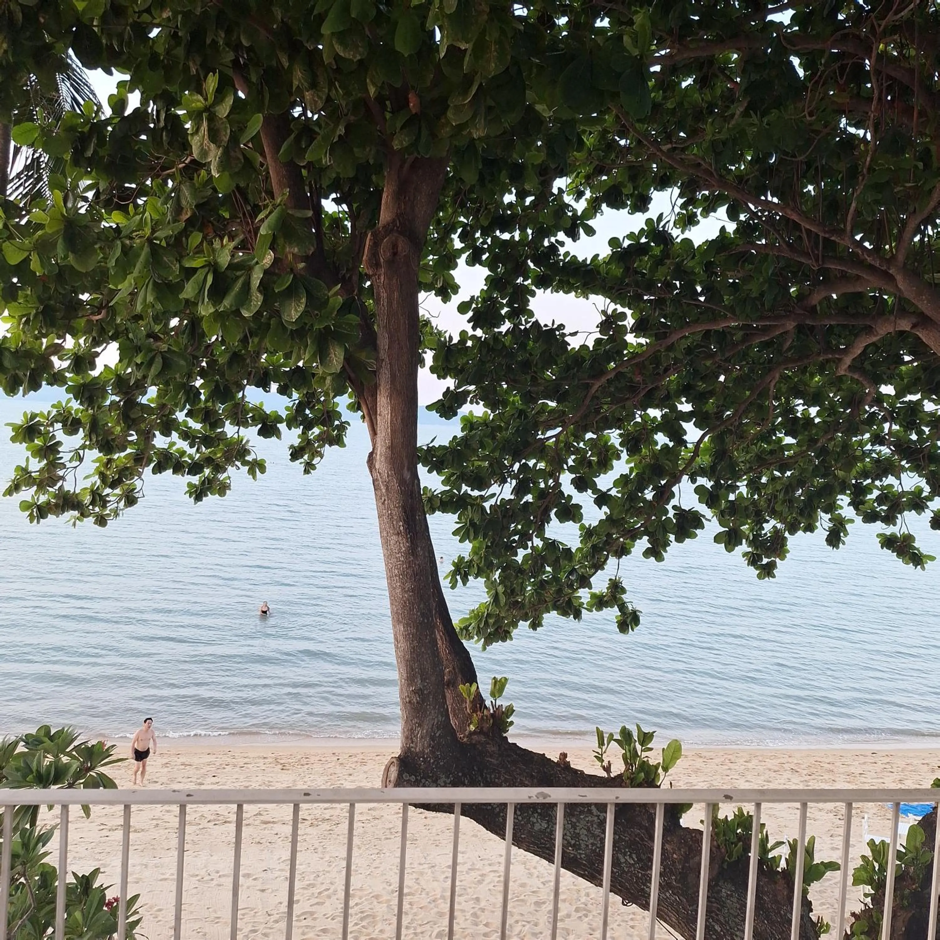 Sea view in Baanfah Resort Samui