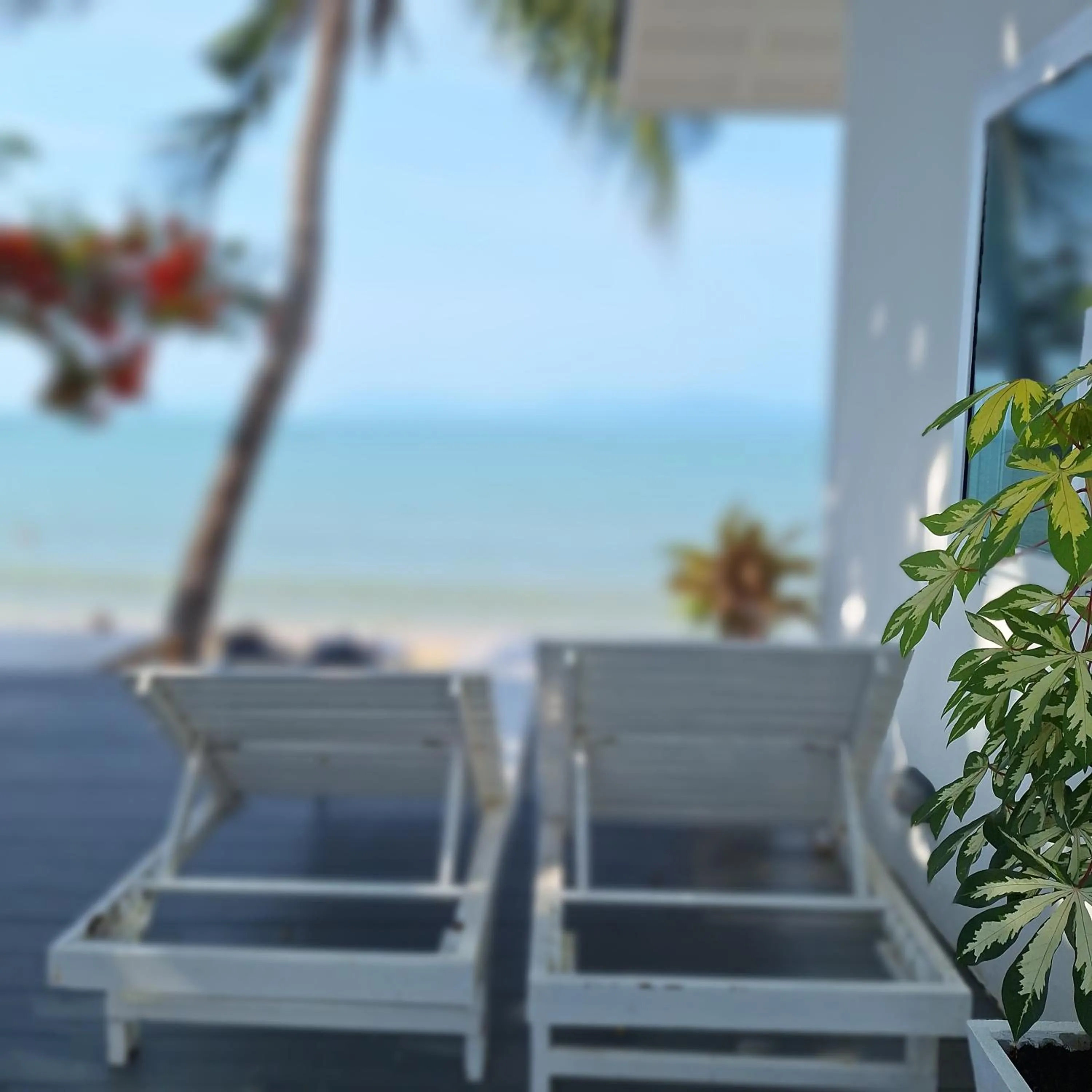 View (from property/room) in Baanfah Resort Samui