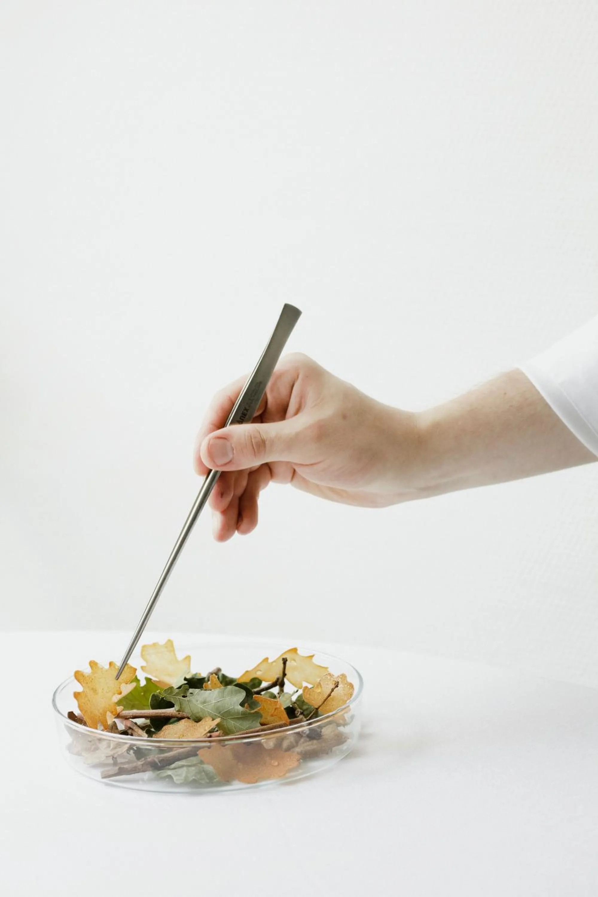 Restaurant/places to eat in Maison Decoret - Relais & Châteaux