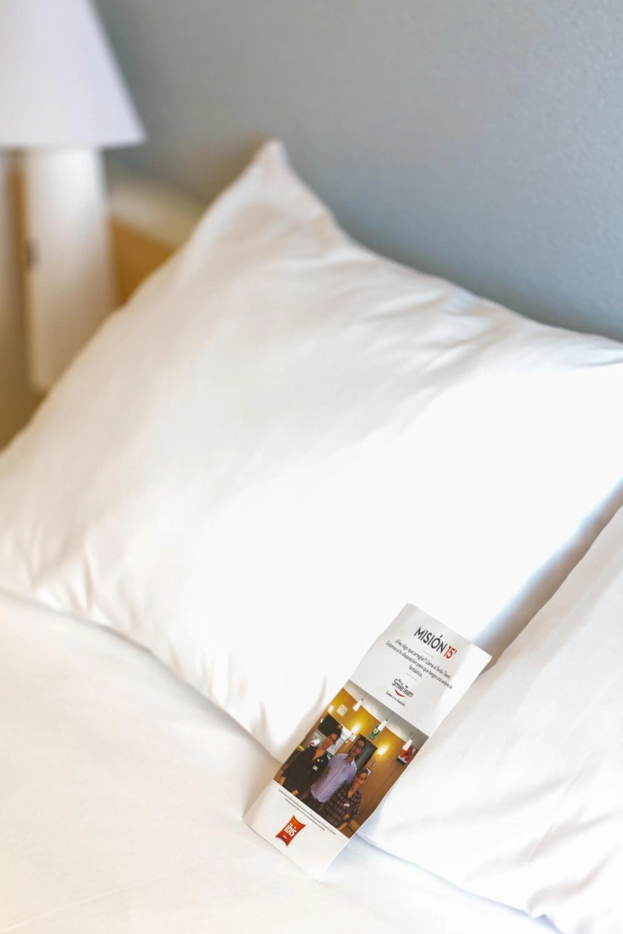 Decorative detail, Bed in Ibis Elche