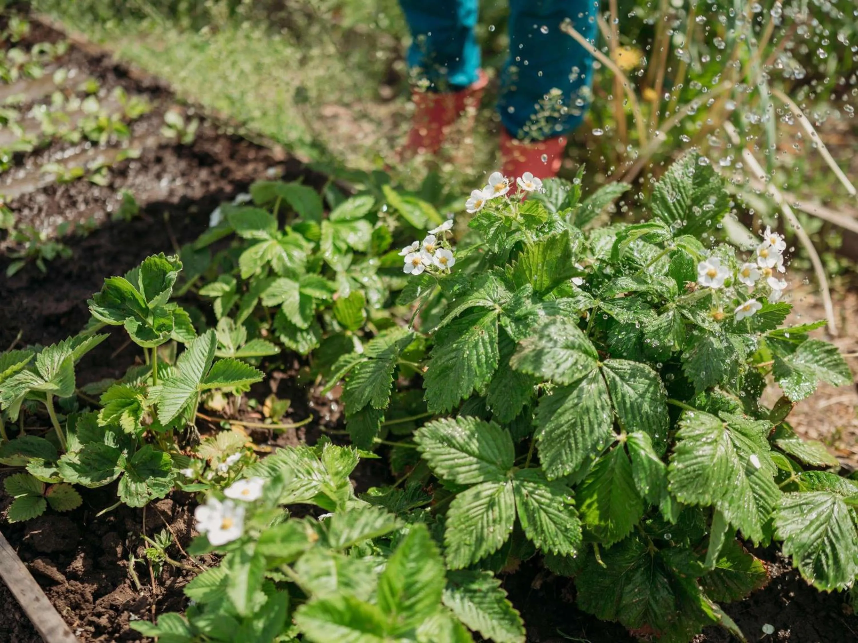Other in Ibis Bilbao Barakaldo